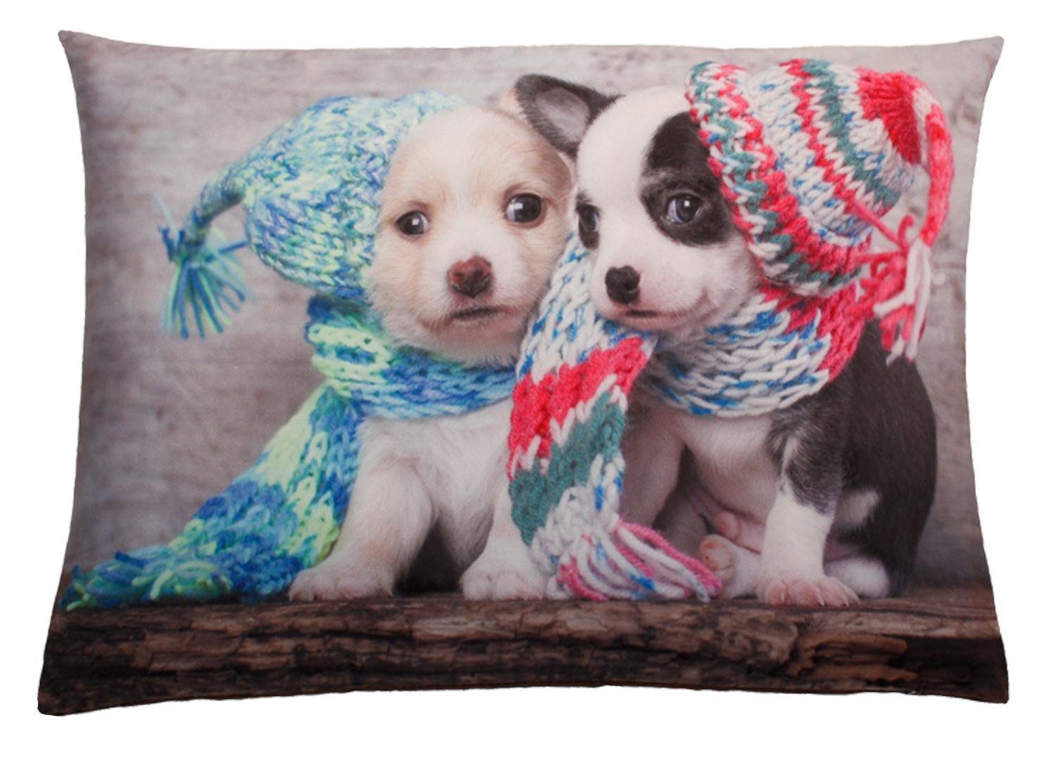 Kissenbezüge Kissenbezug Fotodruck ca. 40x60 cm Dekokissen, Haus und Deko (1 Stück) Kuschelhund
