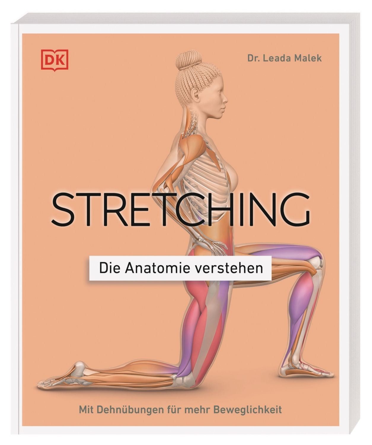 Stretching - Die Anatomie verstehen / Leada Malek