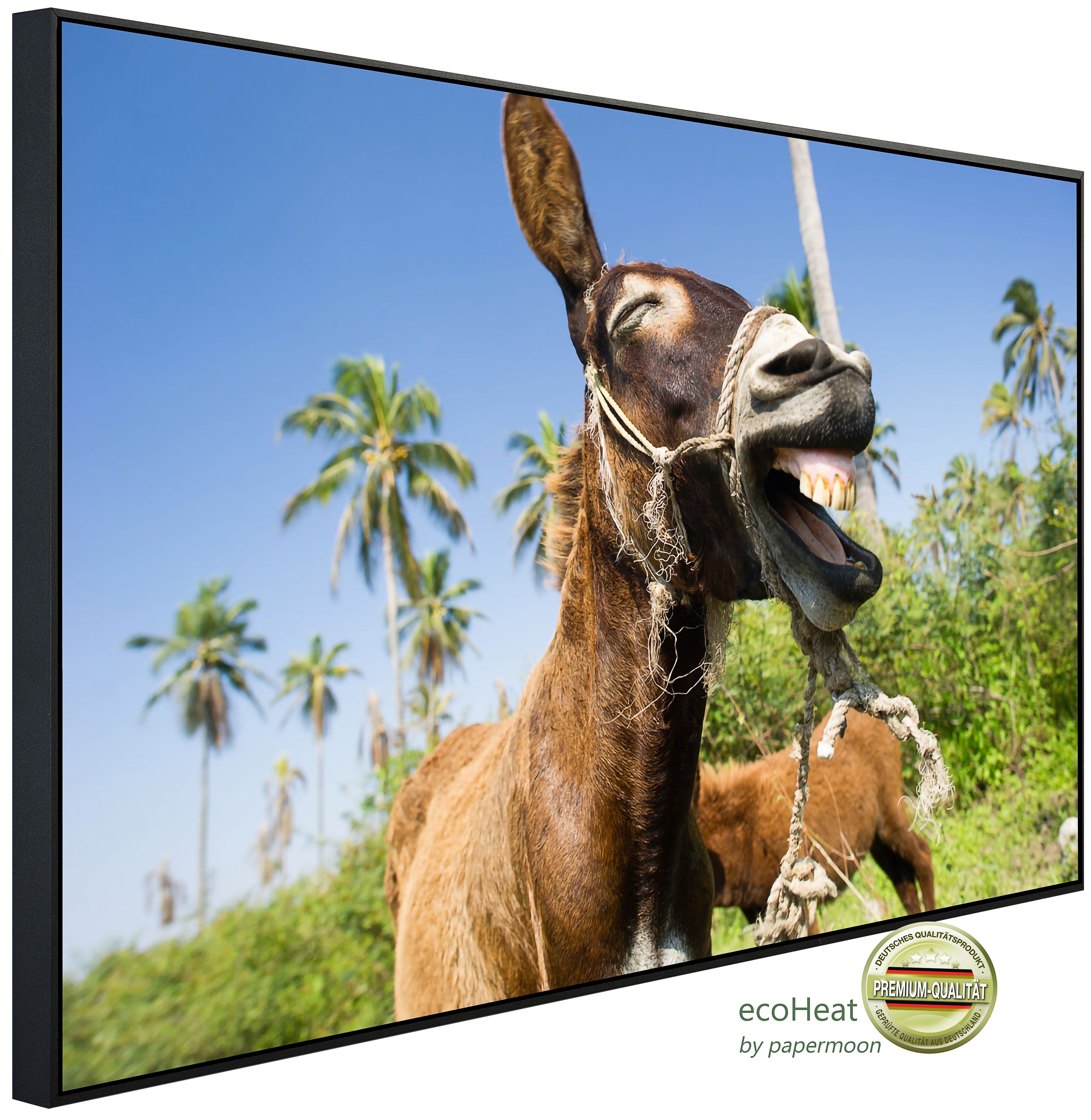 Infrarotheizung INFRAROT-BILD-HEIZUNG, Esel