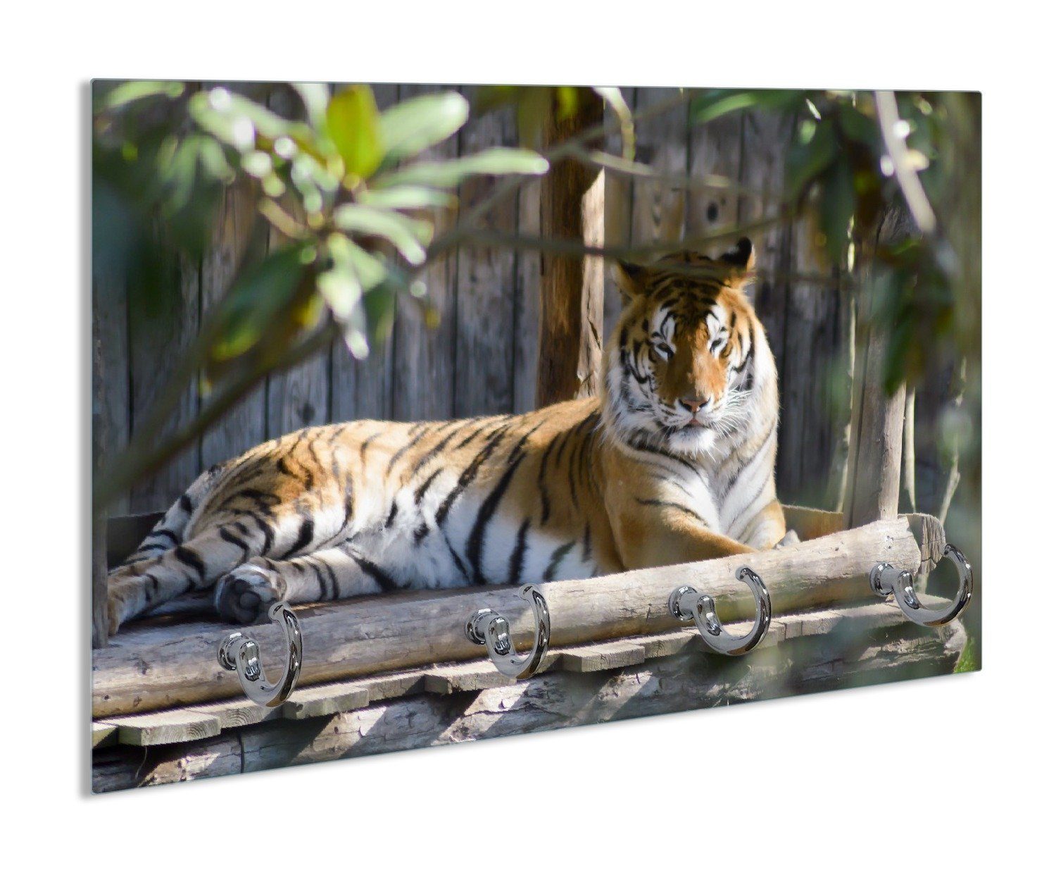 Wallario Handtuchhalter Tiger im Sonnenschein, aus Glas mit 4 Metallhaken