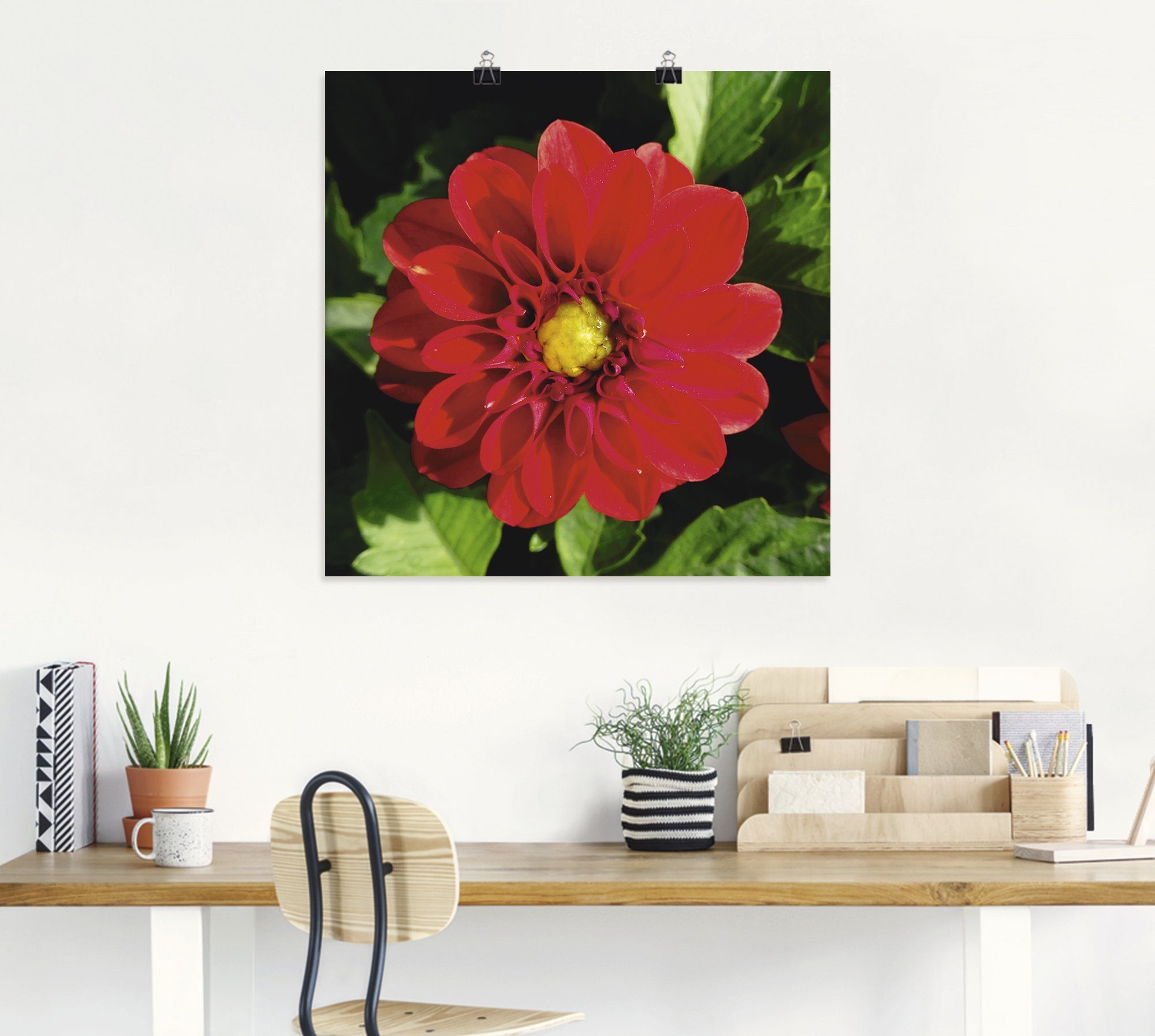 Artland versch. als Alubild, oder Poster Dahlienblüte, in Leinwandbild, Wandbild Wandaufkleber Größen Rote Blumen St), (1