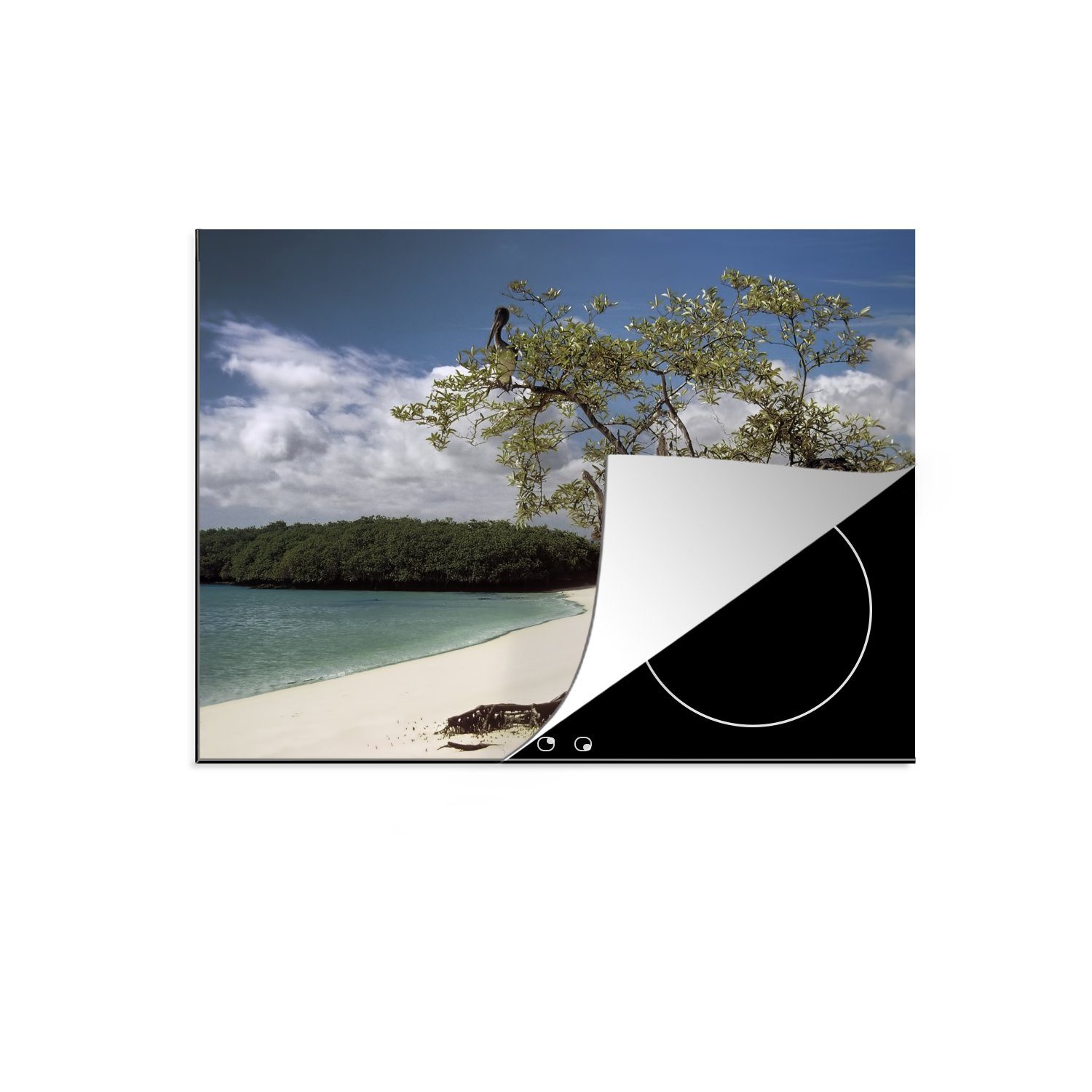 Herdblende-/Abdeckplatte cm, MuchoWow an vertrockneter Ein (1 auf weißen für Baum Ceranfeldabdeckung küche, die 71x52 Induktionskochfeld Vinyl, Galapagos-Inseln, Schutz den tlg), einem Strand