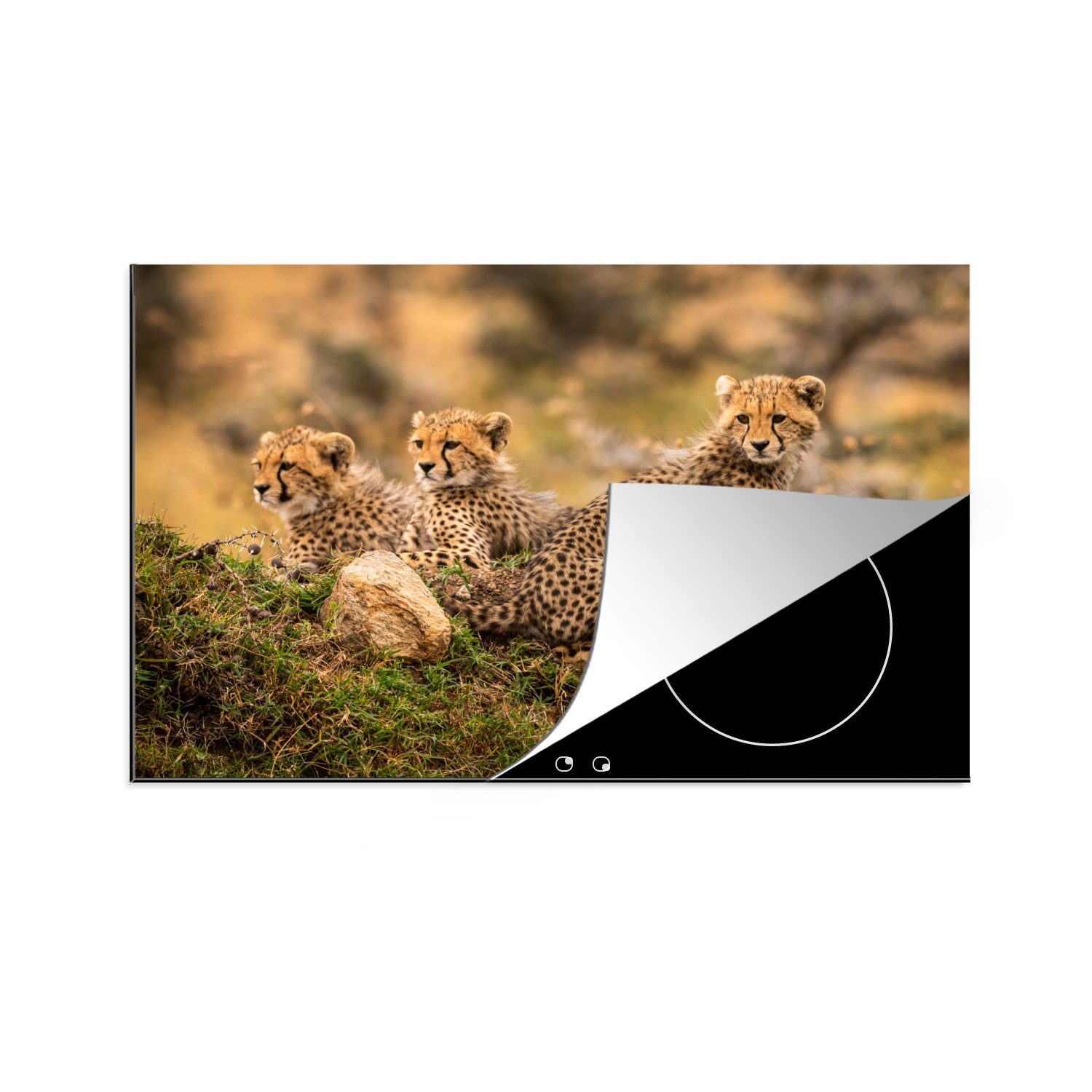 MuchoWow Herdblende-/Abdeckplatte Leopard - Wald Vinyl, (1 die Induktionskochfeld cm, 81x52 Tier, tlg), für küche, - Schutz Ceranfeldabdeckung