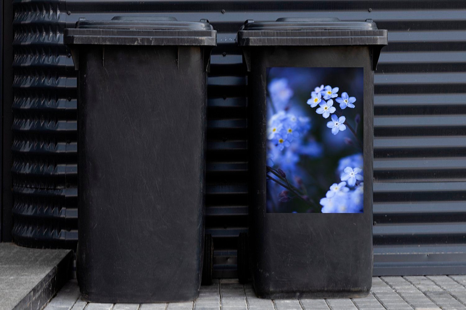 Vergissmeinnicht Container, (1 Mülltonne, Nahaufnahme St), eines MuchoWow Sticker, Wandsticker Mülleimer-aufkleber, Abfalbehälter