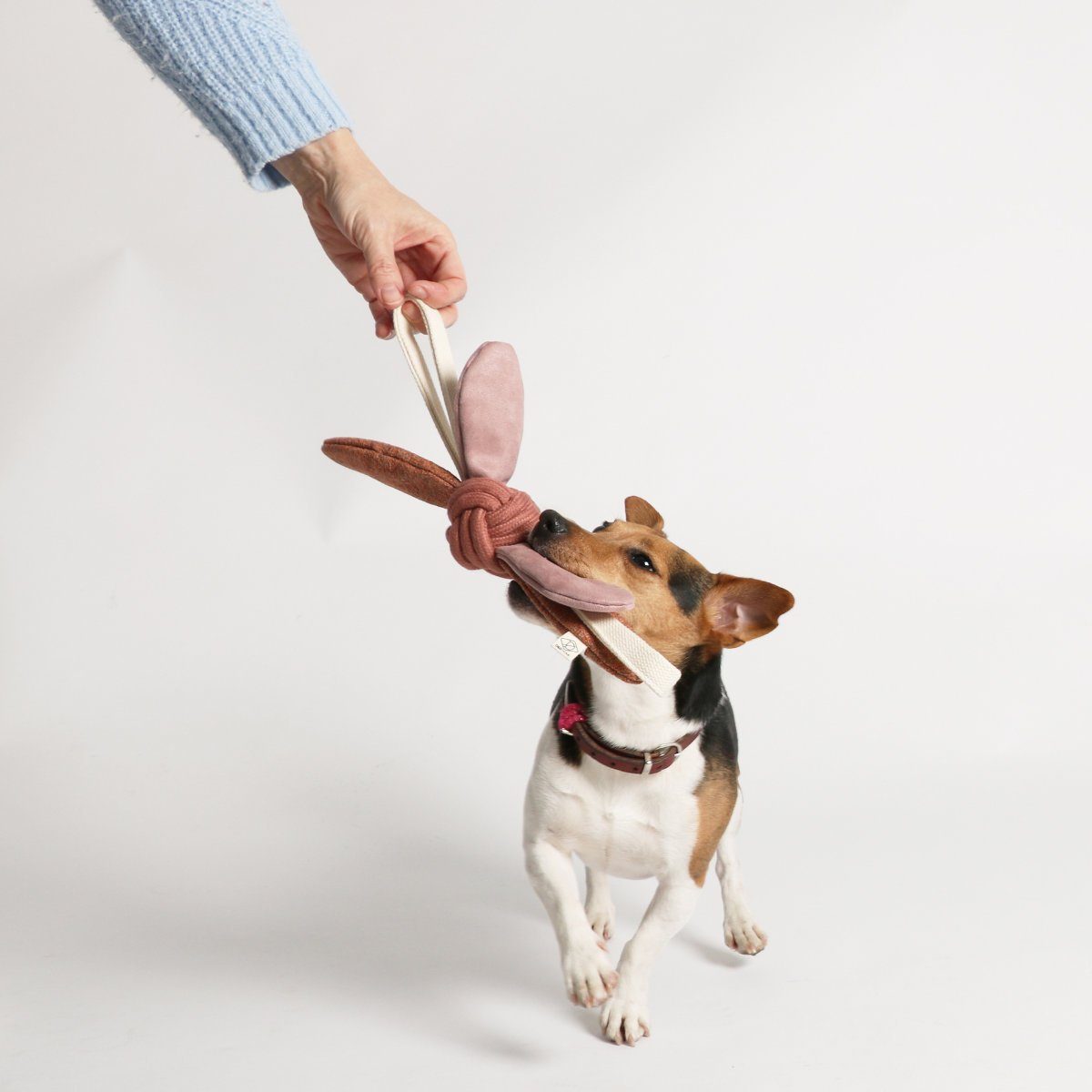 D&D Tiertau Hundespielzeug Jule rosa