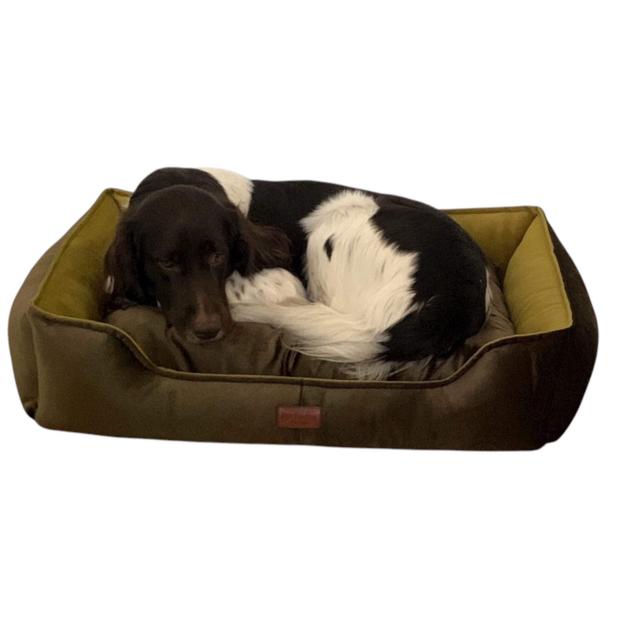 DDOnlineShop Hundebett Premium Hochwertiges Tierbett 100% Polyester, 100% Polyester, mit Beidseitig verwendbare Kissen