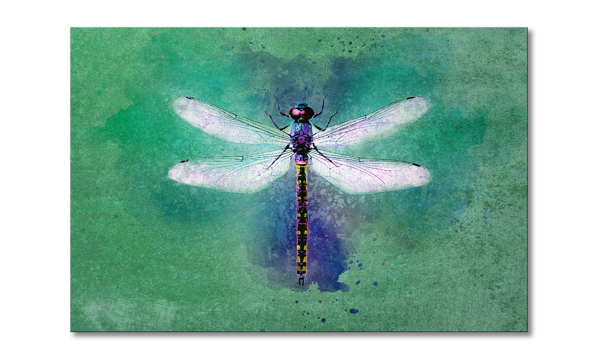 WandbilderXXL Leinwandbild Dragon Fly, Libelle (1 günstig online kaufen