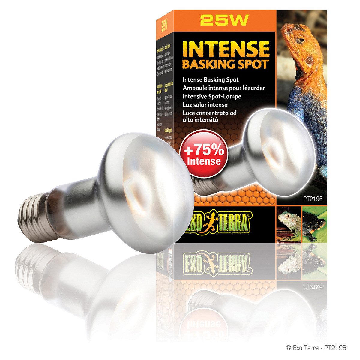 Exo Terra Terrarienleuchte Intense Basking Spot - Tageslichtlampe günstig online kaufen