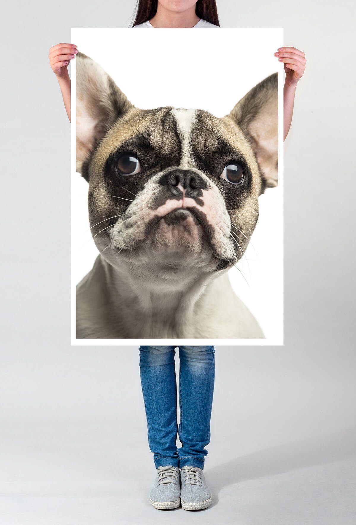 Sinus Art Poster Tierfotografie 60x90cm Poster günstig online kaufen