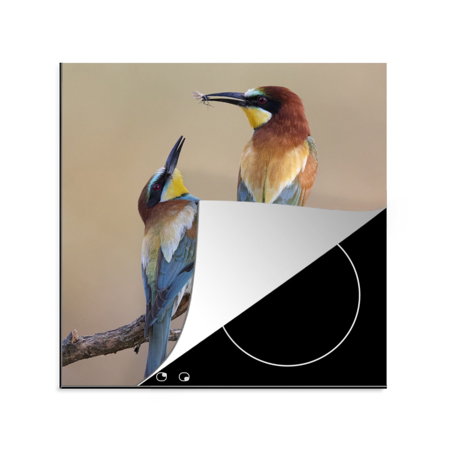 MuchoWow Herdblende-/Abdeckplatte Vogel - Insekt - tlg), (1 cm, 78x78 Vinyl, Ceranfeldabdeckung, Arbeitsplatte küche für Freunde