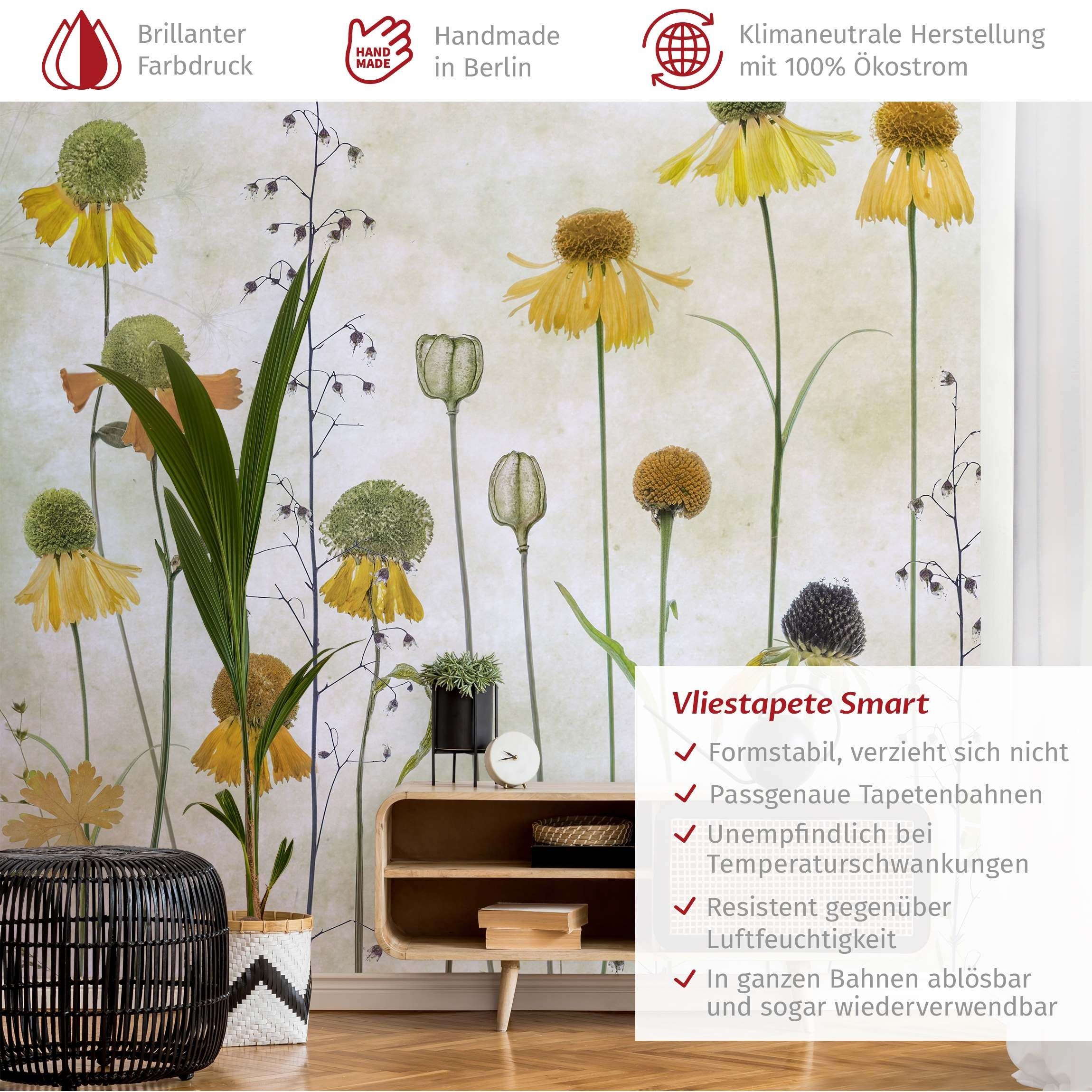 Bilderdepot24 Fototapete Blumen Helenium Blüten Blumentapete günstig online kaufen