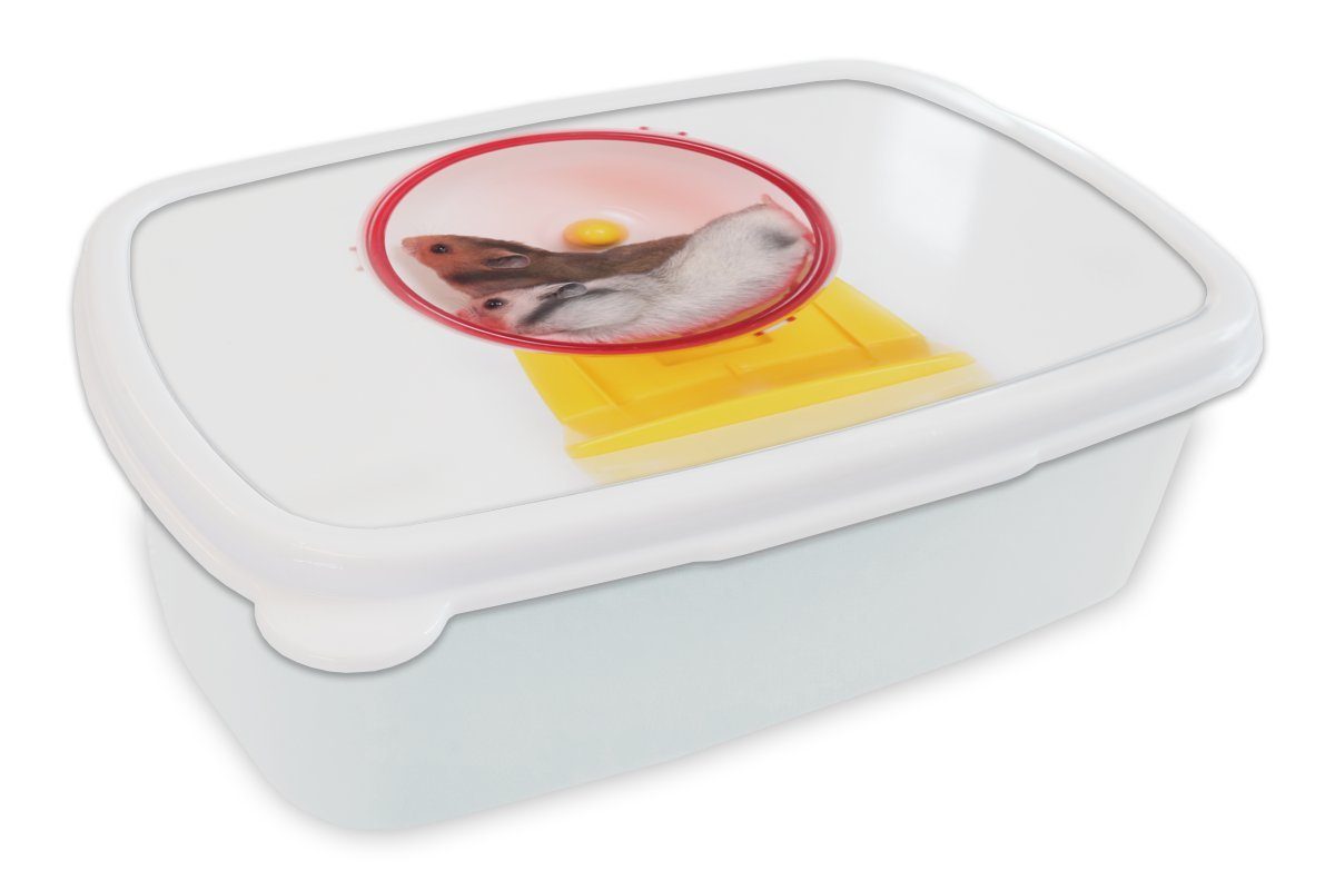 Lunchbox Brotbox Brotdose, Kinder Hamster weiß Mädchen und Laufrad, und für MuchoWow (2-tlg), für Jungs Erwachsene, im Kunststoff,