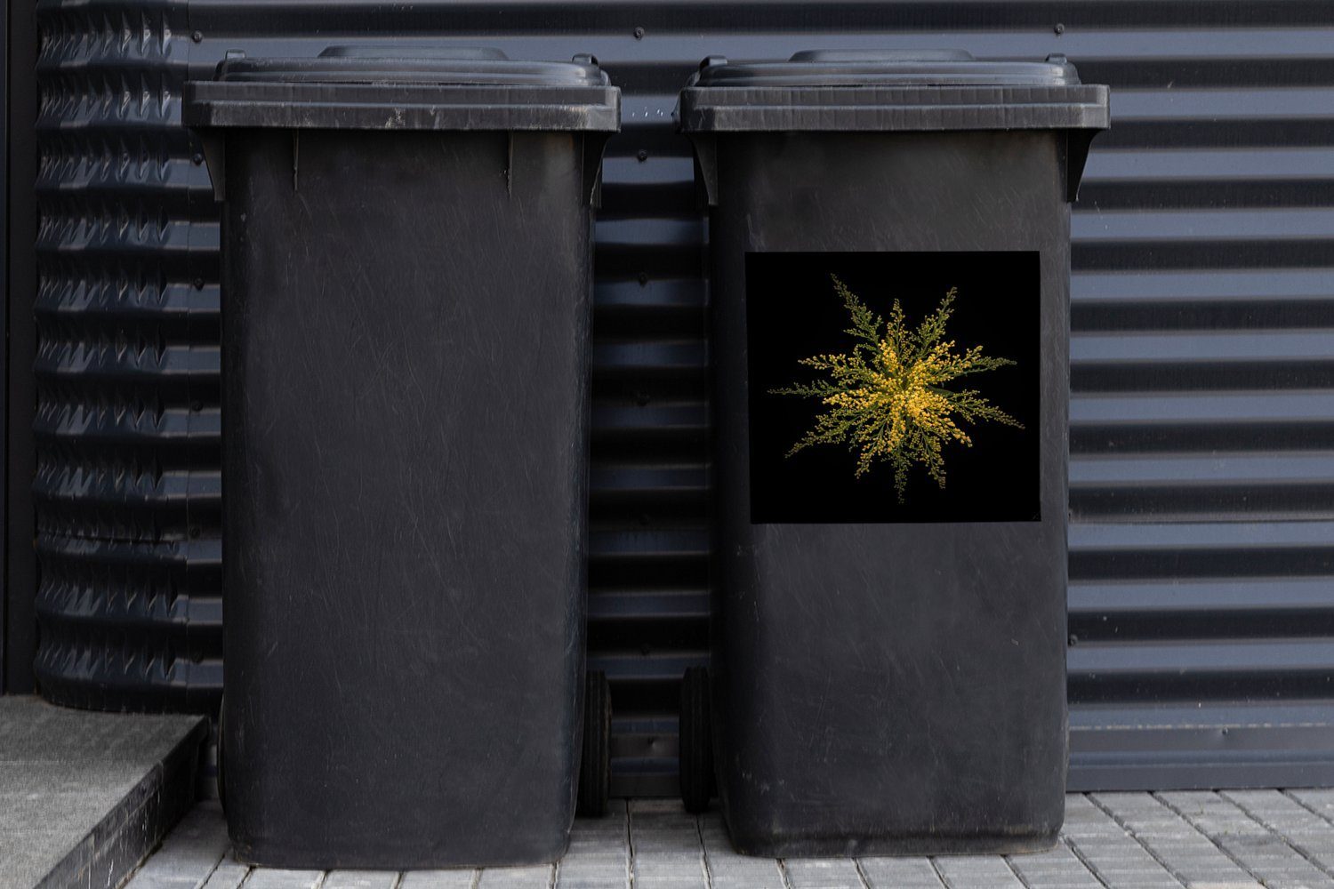 auf (1 Goldrutenblüte MuchoWow Mülleimer-aufkleber, St), Container, Hintergrund Wandsticker Eine schwarzem Sticker, Mülltonne, Abfalbehälter