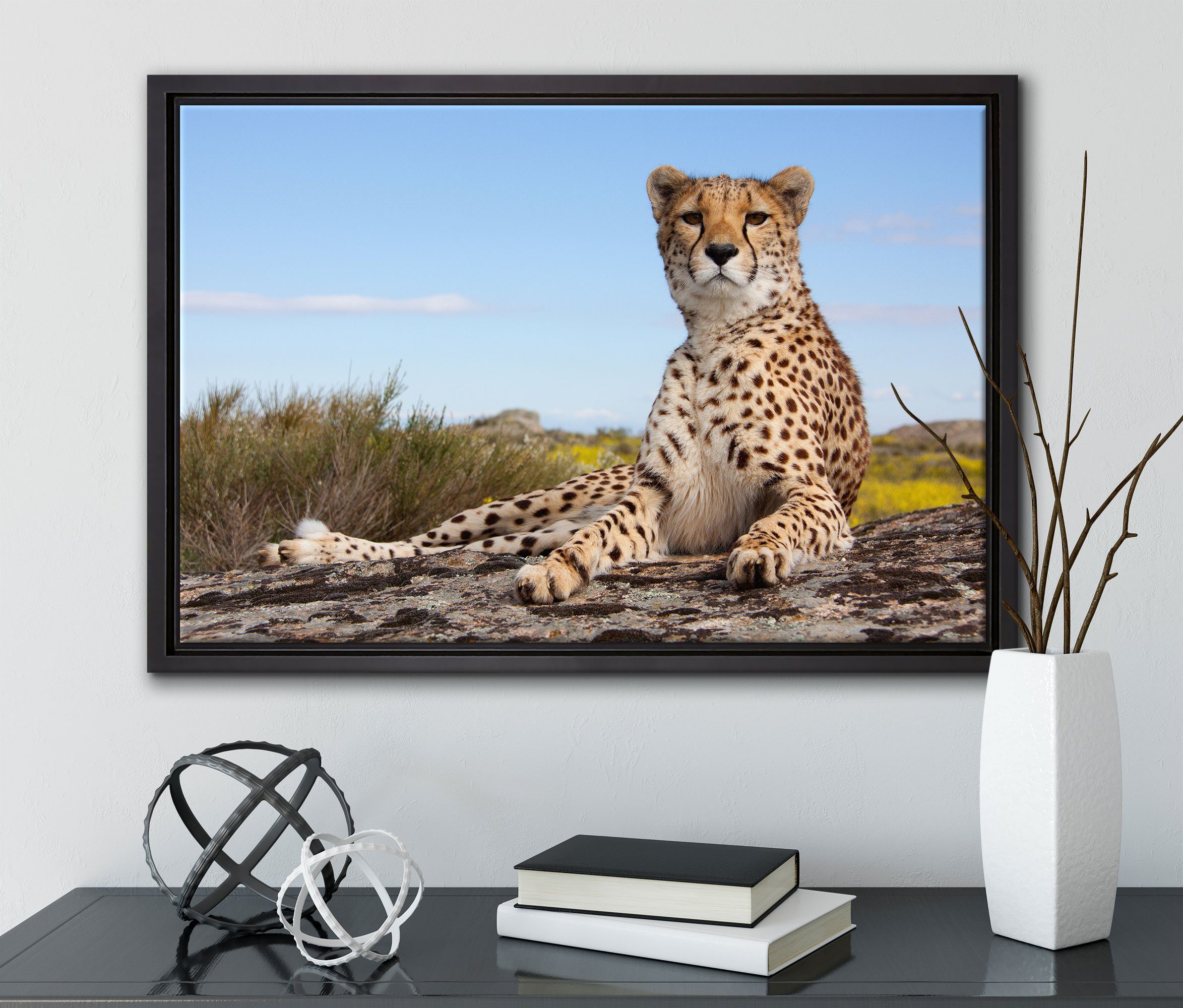 Leinwandbild Gepard bespannt, Pixxprint fertig Leinwandbild gefasst, Wanddekoration in in Savanne, (1 St), einem Schattenfugen-Bilderrahmen Zackenaufhänger inkl.