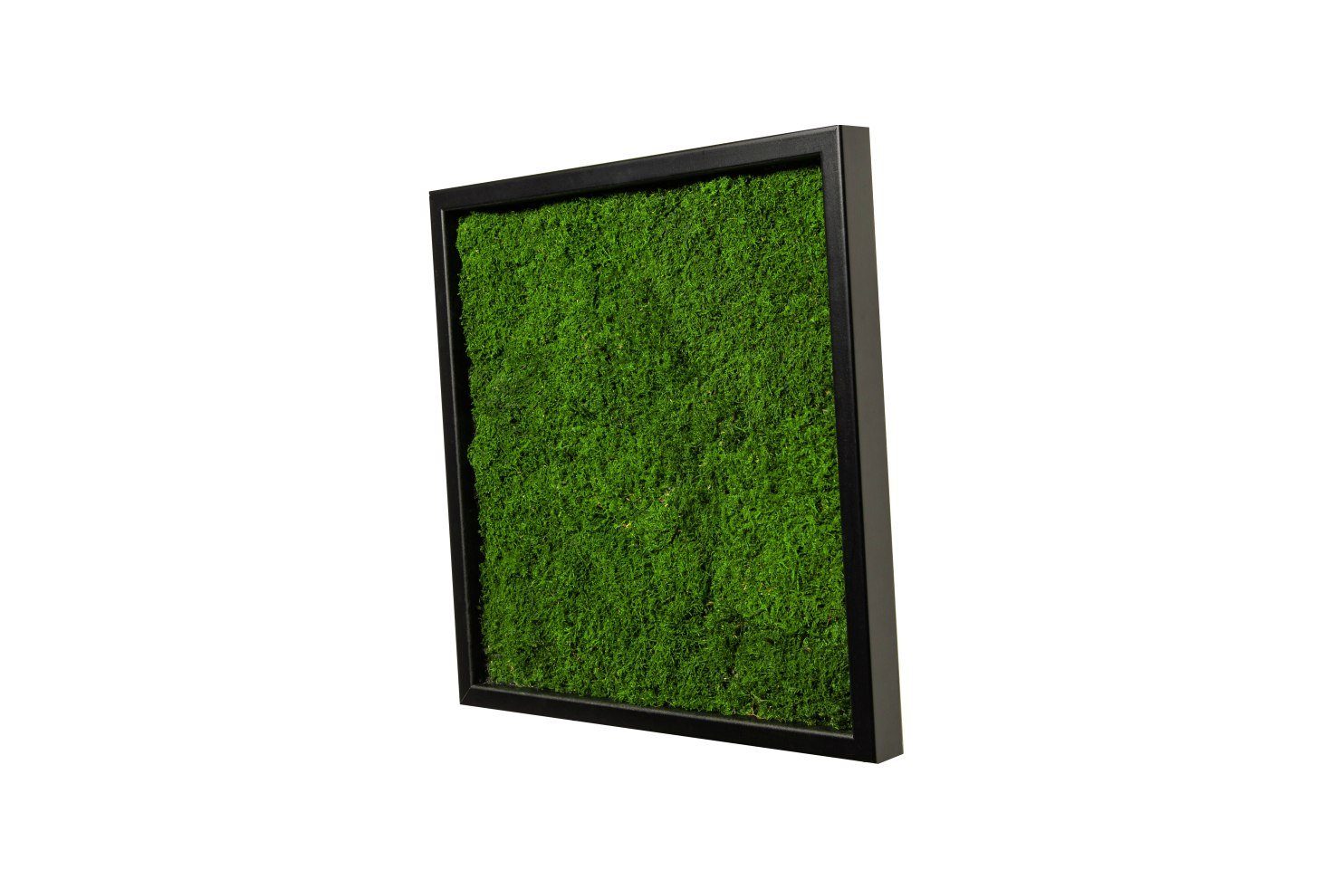 Moos-Design Bild Moosbild Flat Design mit günstig online kaufen