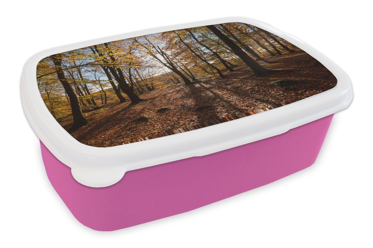 MuchoWow Lunchbox Herbstfarben in den Wäldern des Nationalparks Söderåsen in Schweden, Kunststoff, (2-tlg), Brotbox für Erwachsene, Brotdose Kinder, Snackbox, Mädchen, Kunststoff rosa