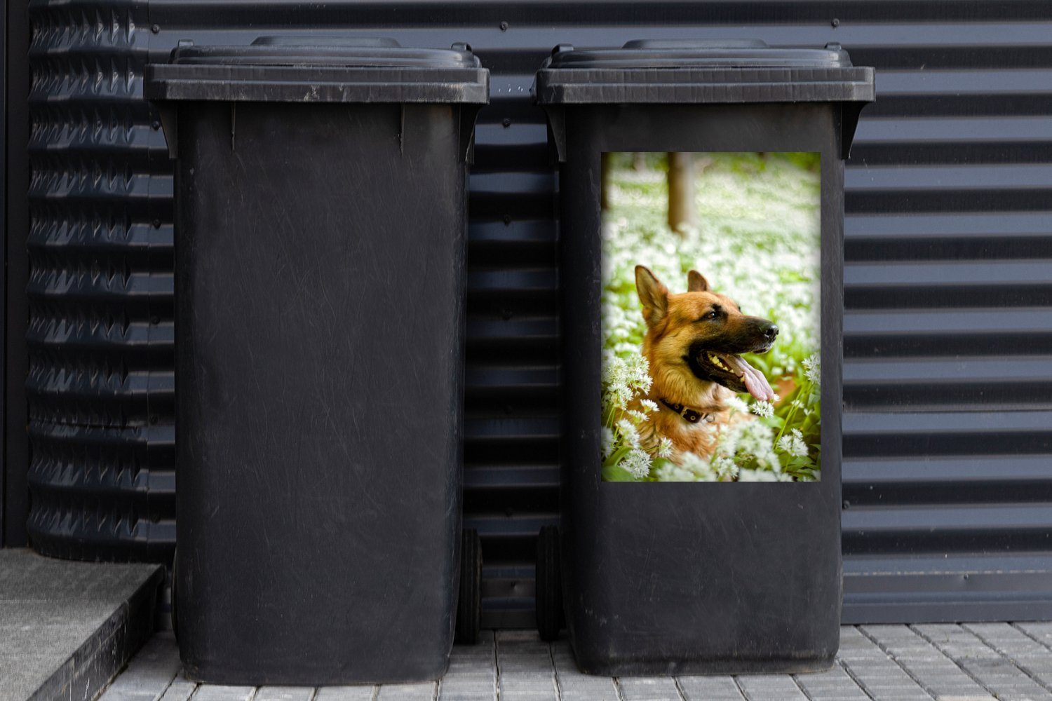Blumen St), sitzt Mülleimer-aufkleber, weißen Container, Deutscher Wandsticker Schäferhund Mülltonne, Sticker, der Abfalbehälter (1 MuchoWow inmitten