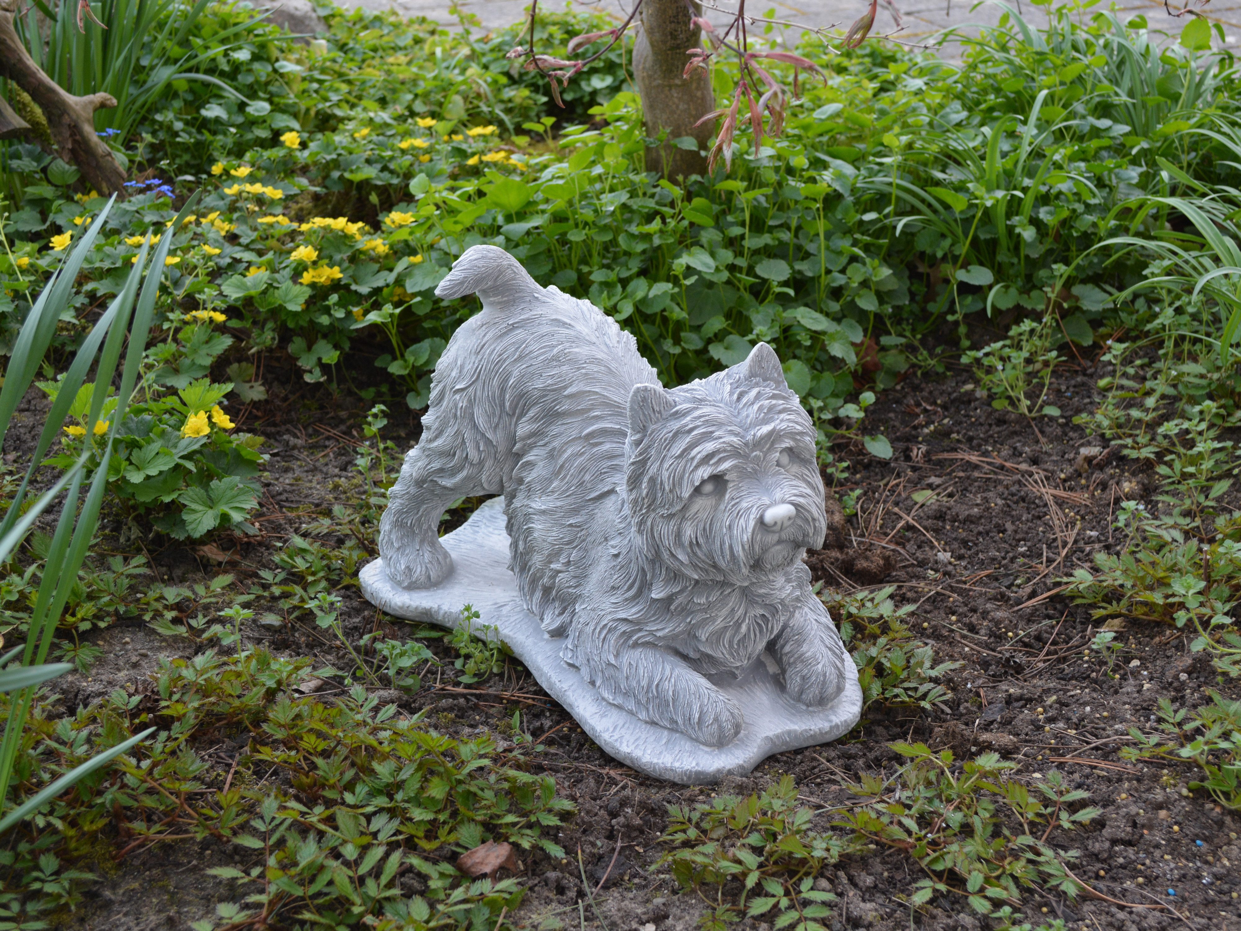 gartendekoparadies.de Gartenfigur Hund West Highland White Terrier Westie, H. 25 cm, 13 kg, Frostsicher