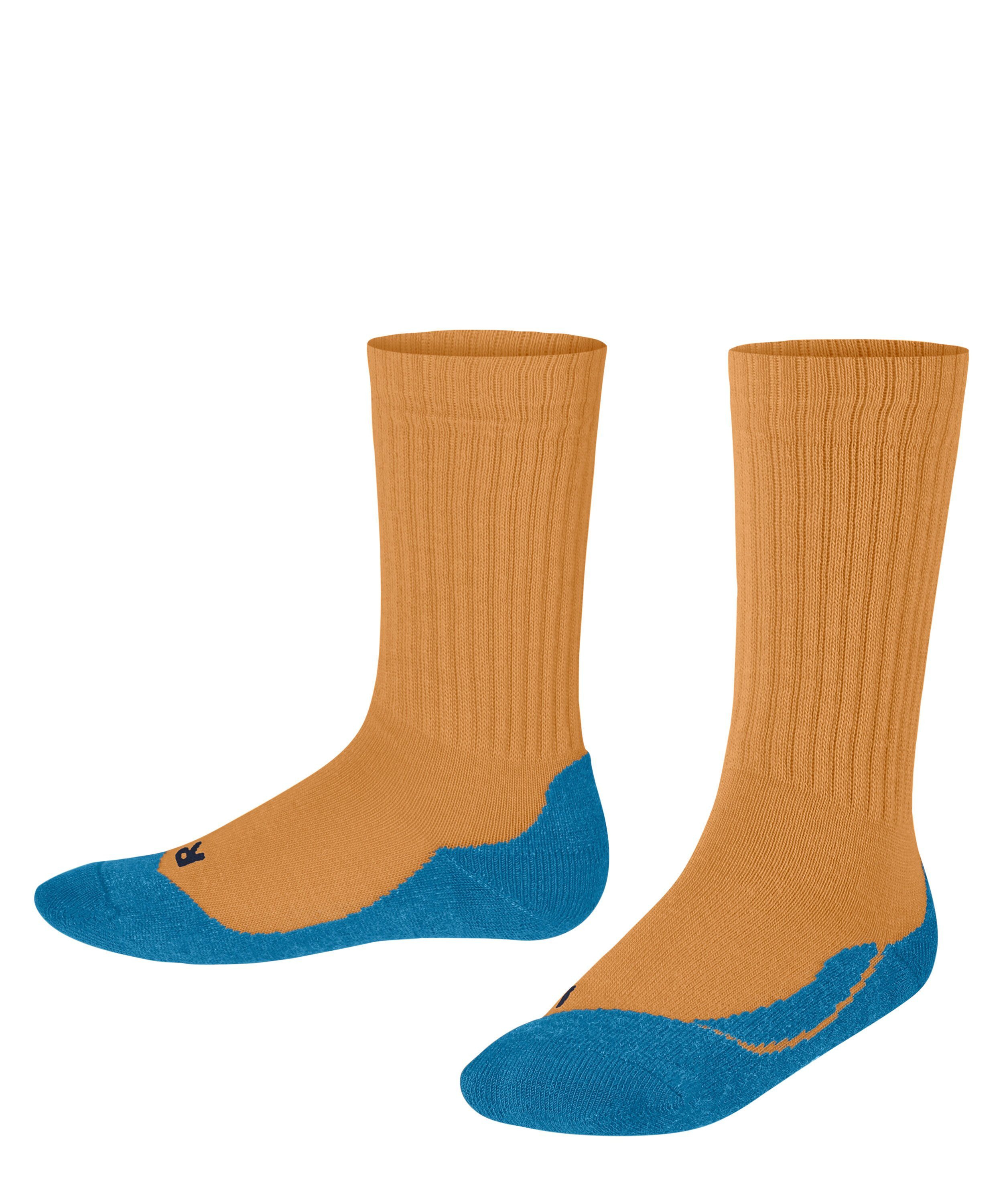 FALKE Socken Active Warm (1-Paar)