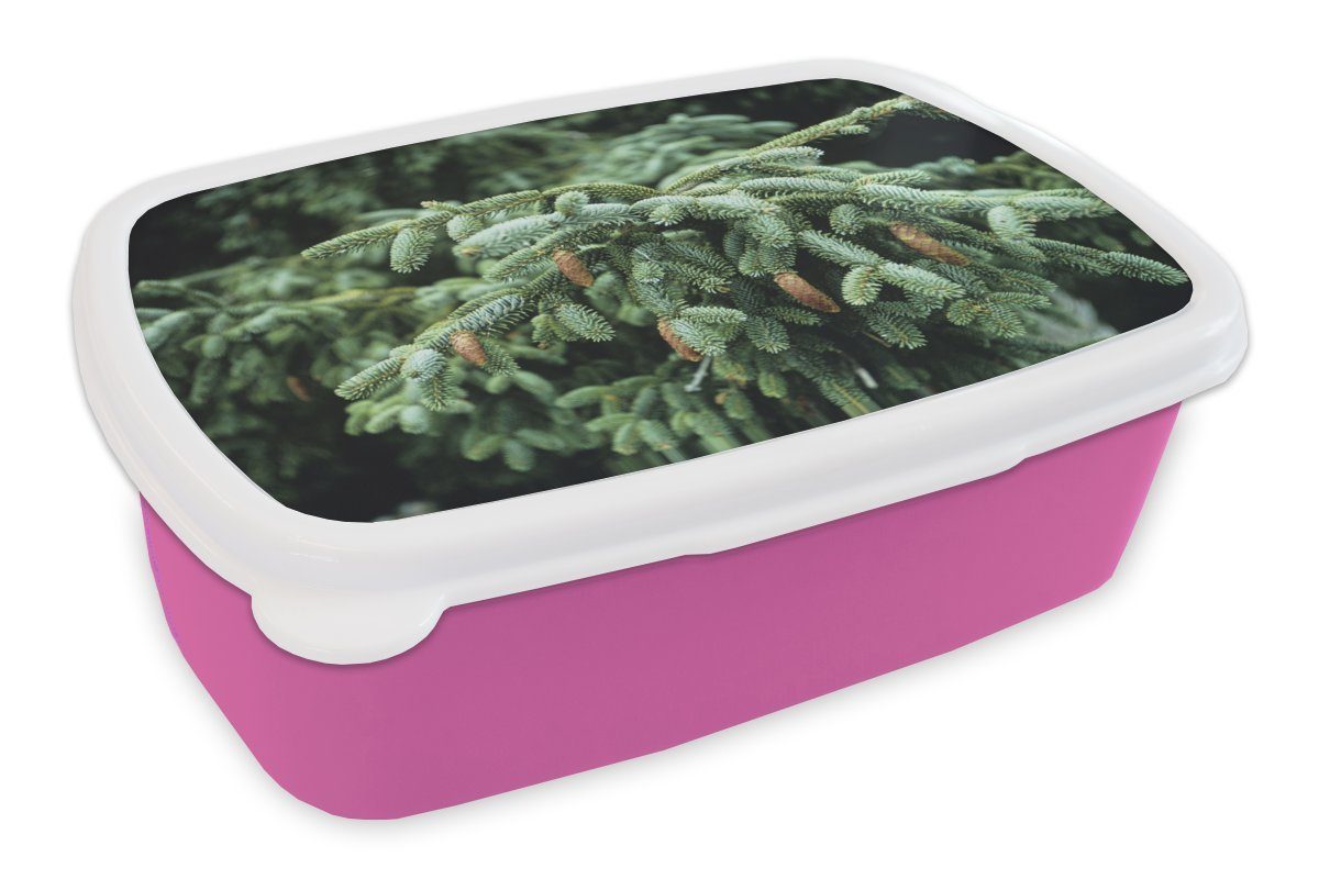 Brotdose (2-tlg), rosa in Brotbox in Eine Weihnachtsbaums MuchoWow einem Wald Kunststoff Kinder, eines Nahaufnahme Erwachsene, Lunchbox Snackbox, für Kunststoff, Mädchen, den,