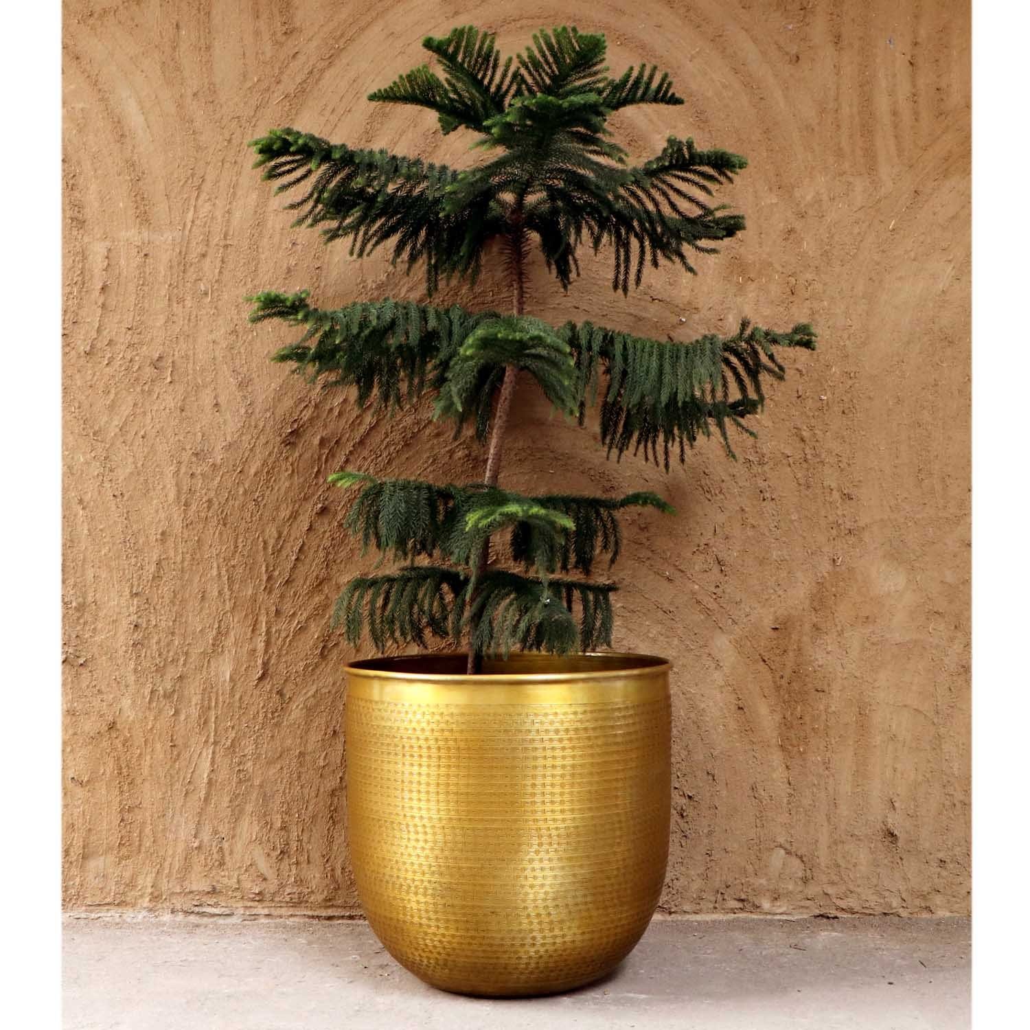 Casa Moro Pflanzkübel Orientalischer Blumentopf Barcelona günstig online kaufen