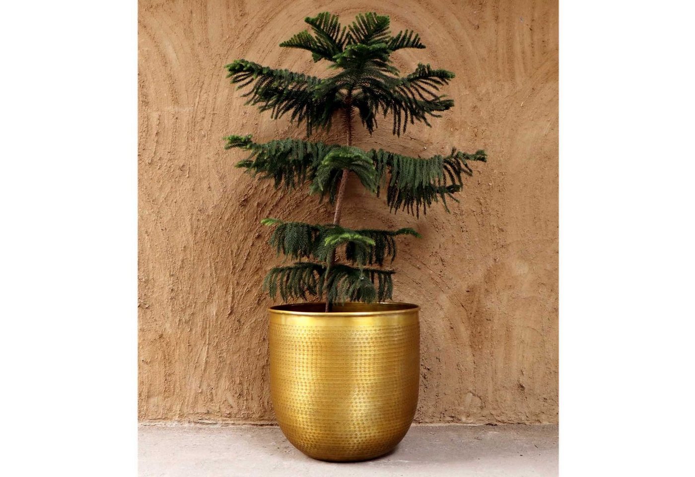 Thumbnail - Casa Moro Pflanzkübel Orientalischer Blumentopf Barcelona Gold Aluminium Pflanzgefäß (Einzeln in den Größen S, M, L, XL ...