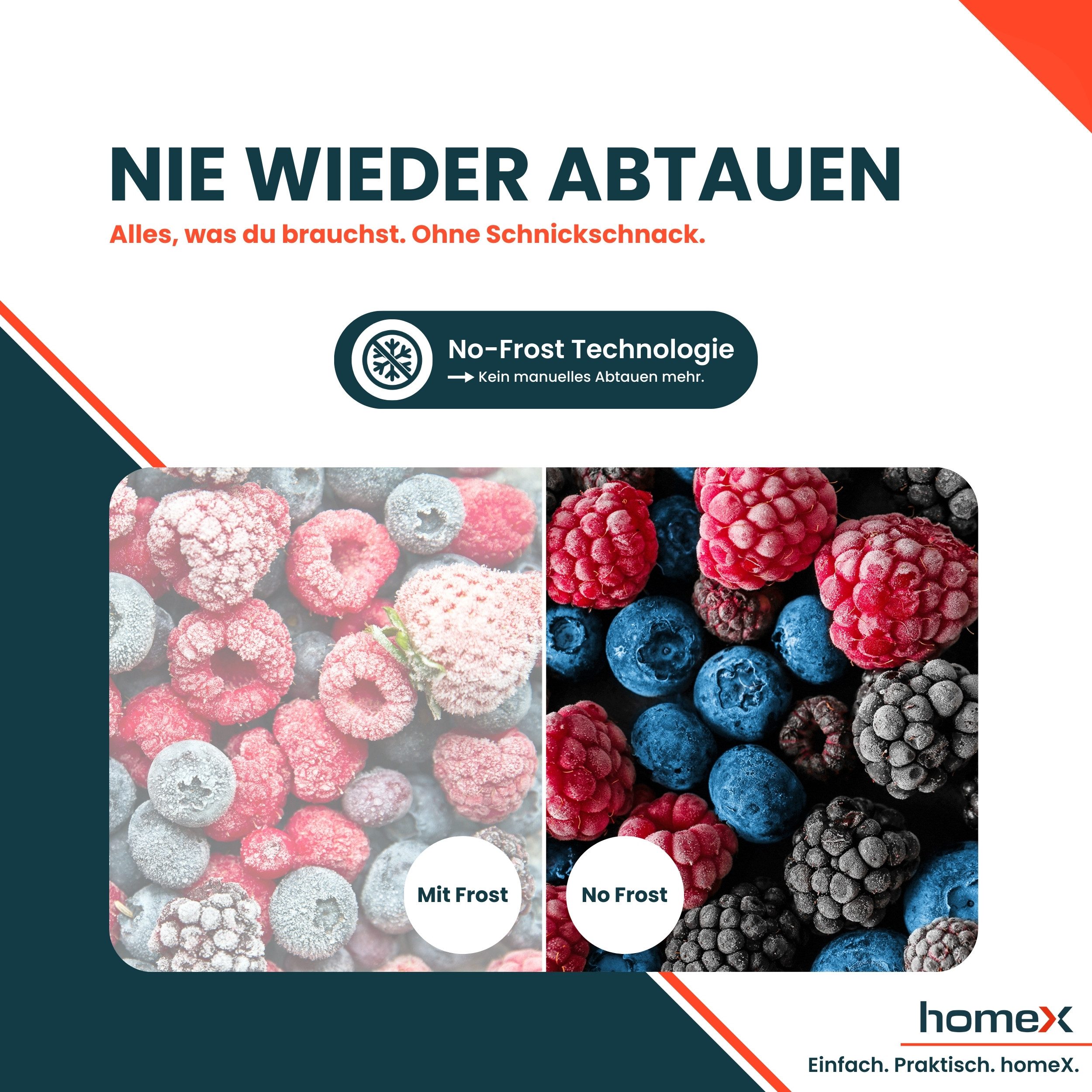 homeX Gefrierschrank FSN1611E-W, 143 cm hoch, 54 cm breit, No Frost, 161 Liter, Tiefkühlschrank groß, Freezer, 4-Sterne Gefrieren