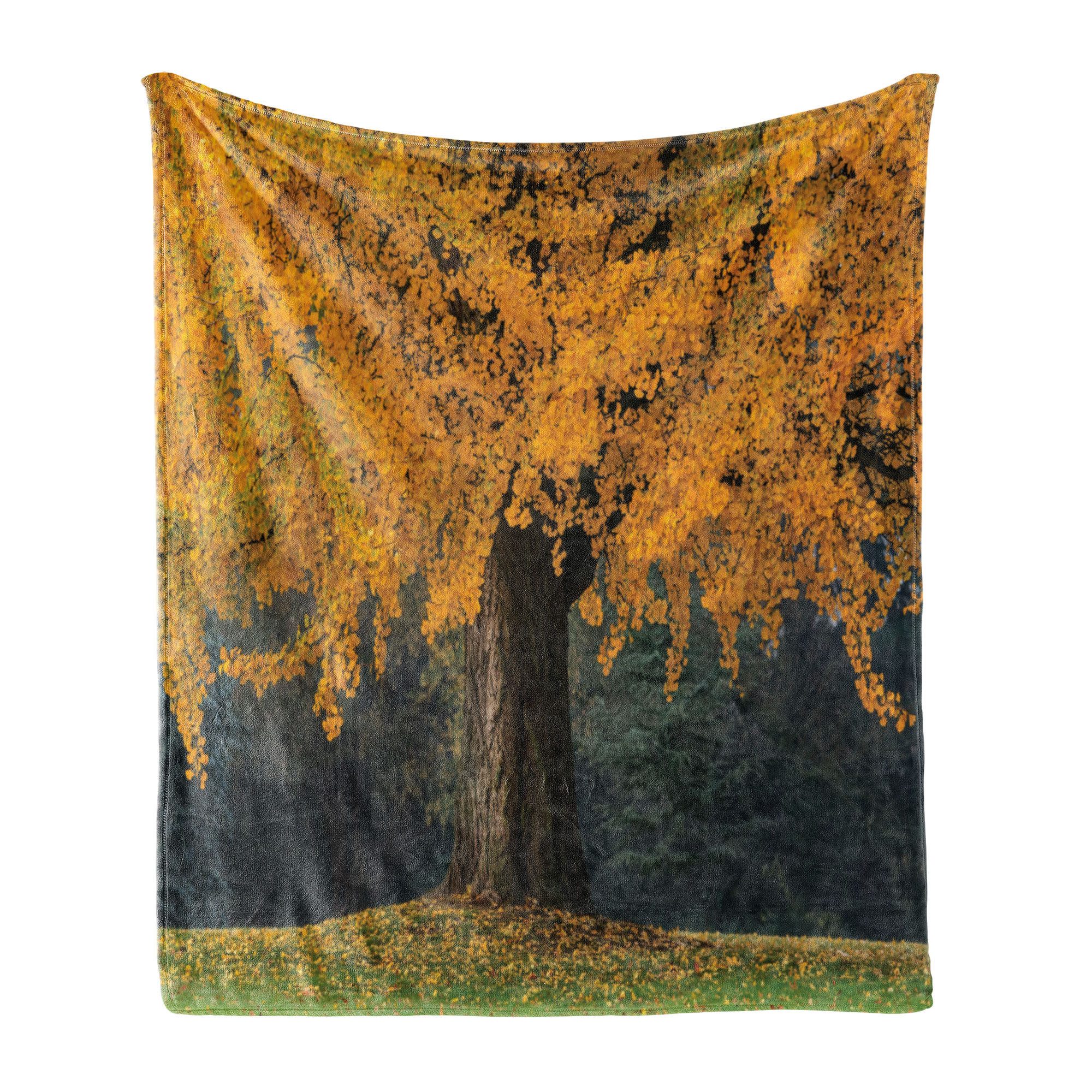 Wohndecke Gemütlicher Plüsch für den Innen- und Außenbereich, Abakuhaus, Fallen Blätter Baum Herbst Jahreszeit