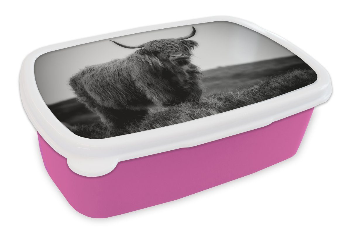 MuchoWow Lunchbox Schottischer Highlander in den schottischen Highlands - schwarz und, Kunststoff, (2-tlg), Brotbox für Erwachsene, Brotdose Kinder, Snackbox, Mädchen, Kunststoff rosa