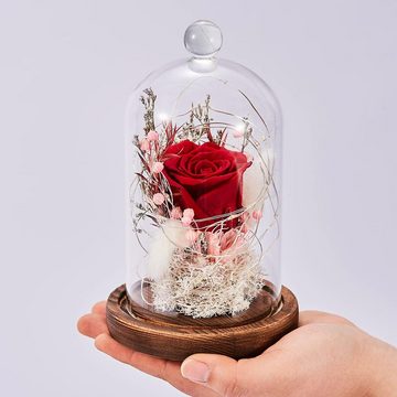 Kunstblume Ewige Rose im Glas mit Licht für Mädchen, AKKEE, Höhe 18 cm, für Valentinstag, Hochzeit, Muttertag, Geburtstag