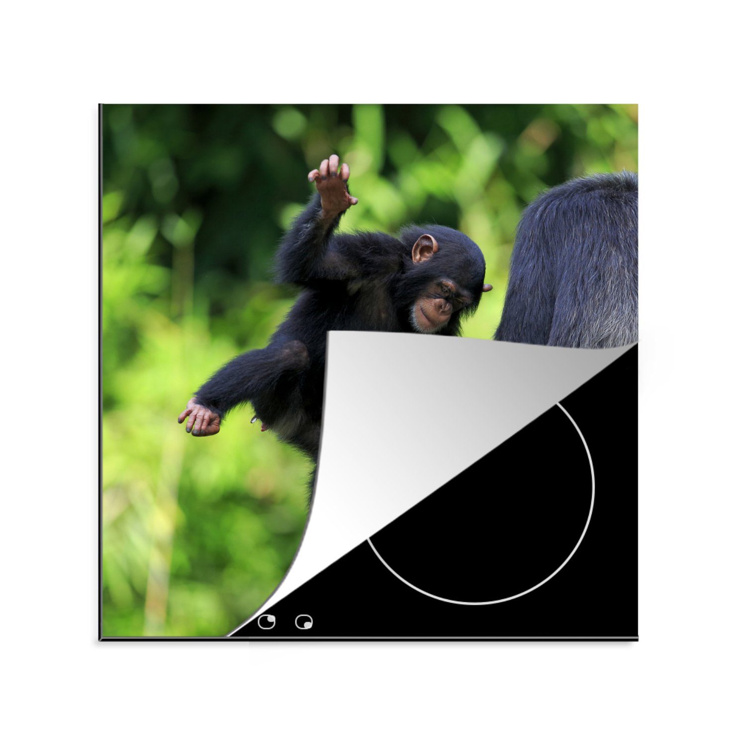 MuchoWow Herdblende-/Abdeckplatte Schimpanse - tlg), für Arbeitsplatte Jung, Vinyl, cm, Stein küche Ceranfeldabdeckung, (1 - 78x78
