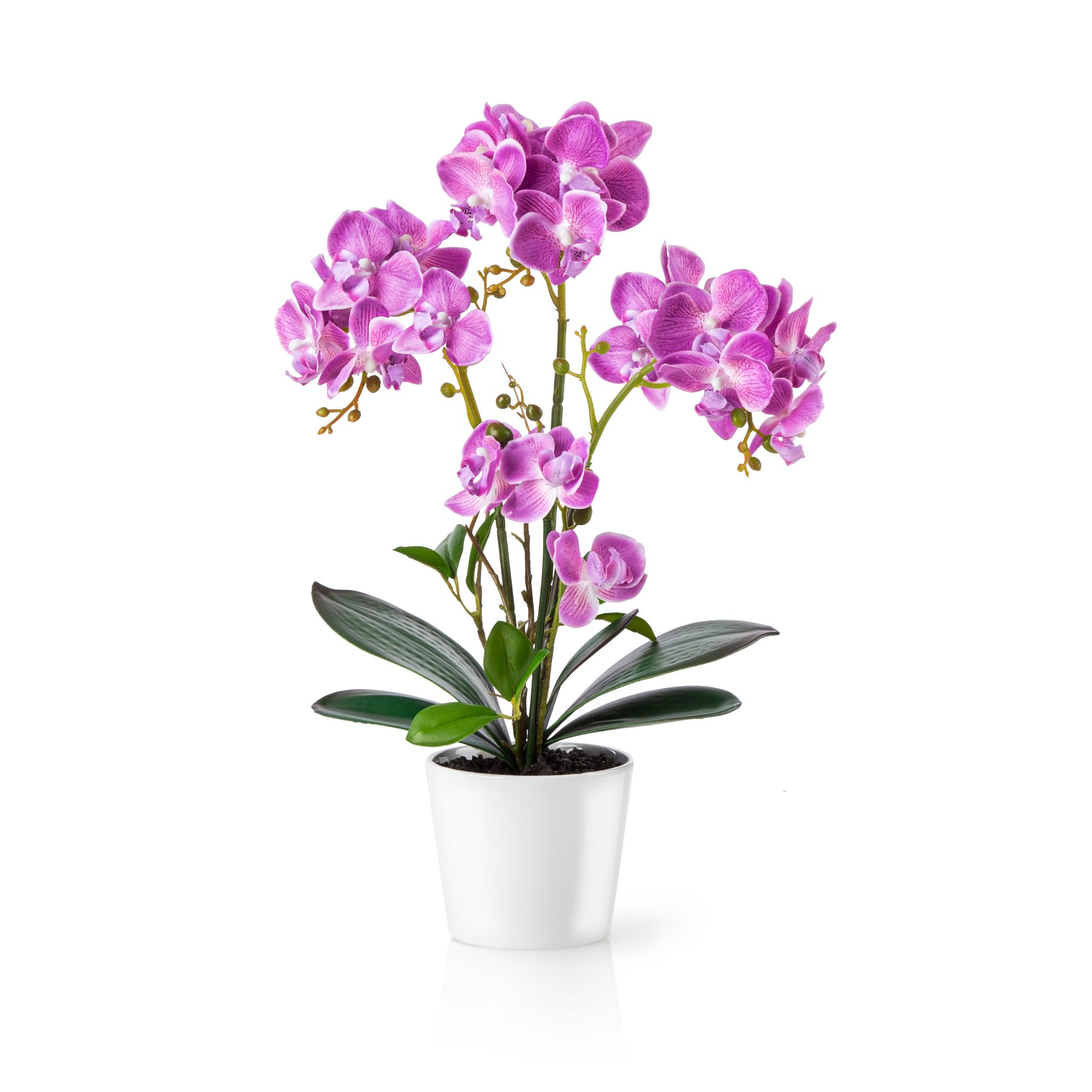 Kunstorchidee PASCH® Orchidee künstlich wie echt (46cm) in Hochglanz-Kerami günstig online kaufen
