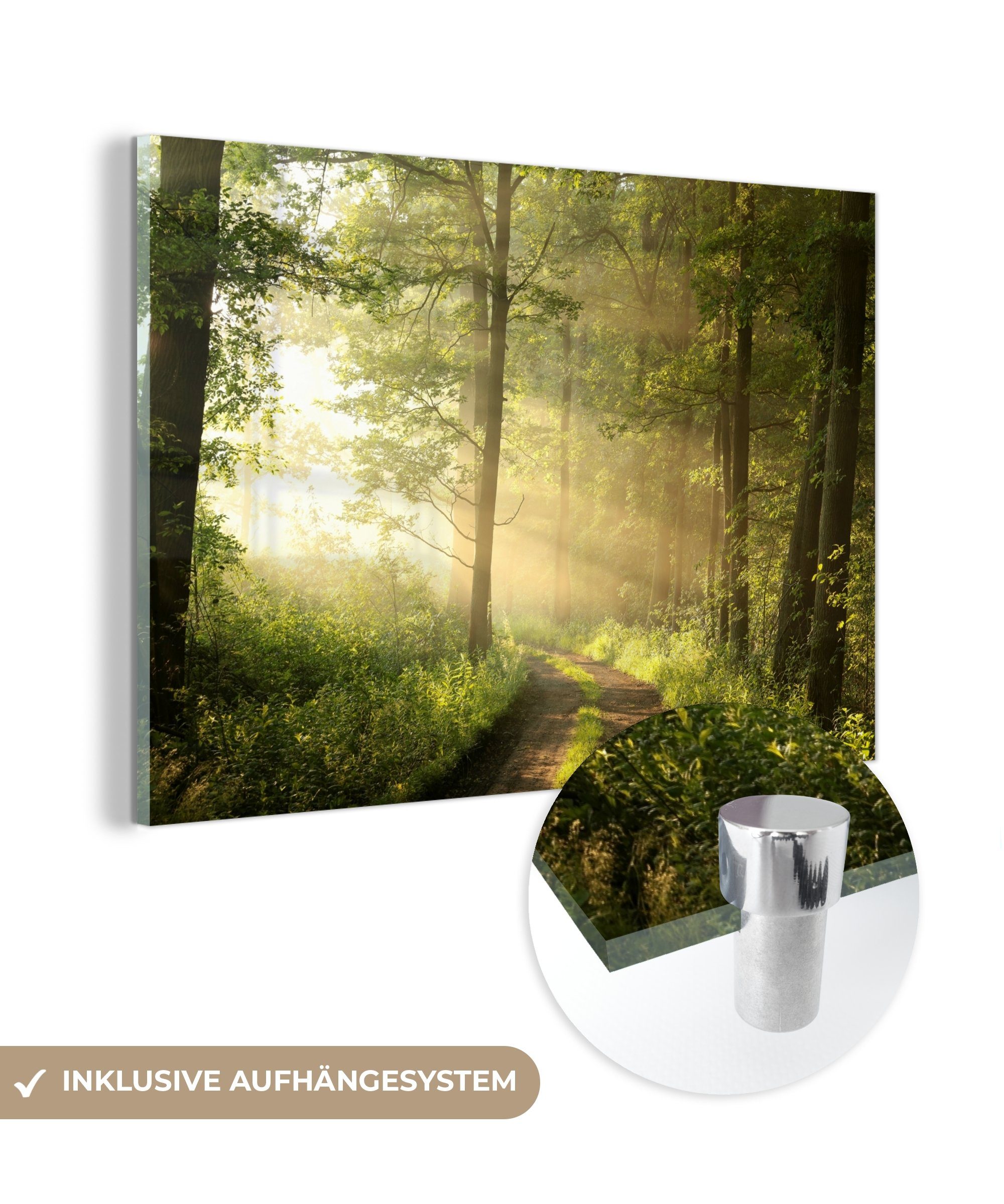 MuchoWow Acrylglasbild Wald - Sonne - Bäume, (1 St), Acrylglasbilder Wohnzimmer & Schlafzimmer