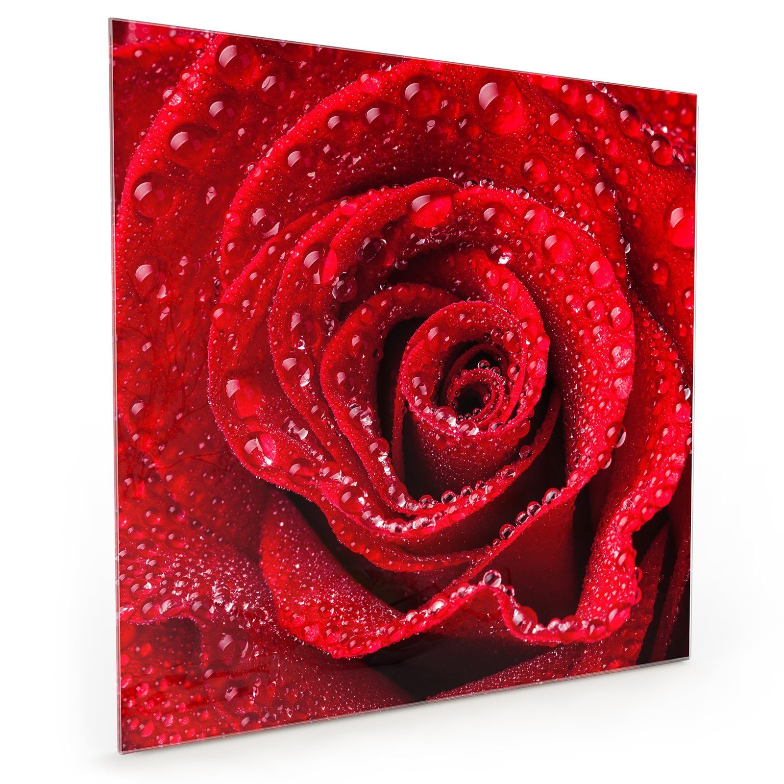 Primedeco Küchenrückwand Küchenrückwand Spritzschutz Glas mit Motiv Rose mit Wassertropfen