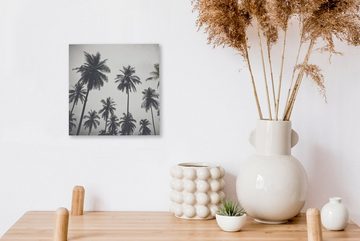 OneMillionCanvasses® Leinwandbild Palme - Tropisch - Natur, (1 St), Leinwand Bilder für Wohnzimmer Schlafzimmer