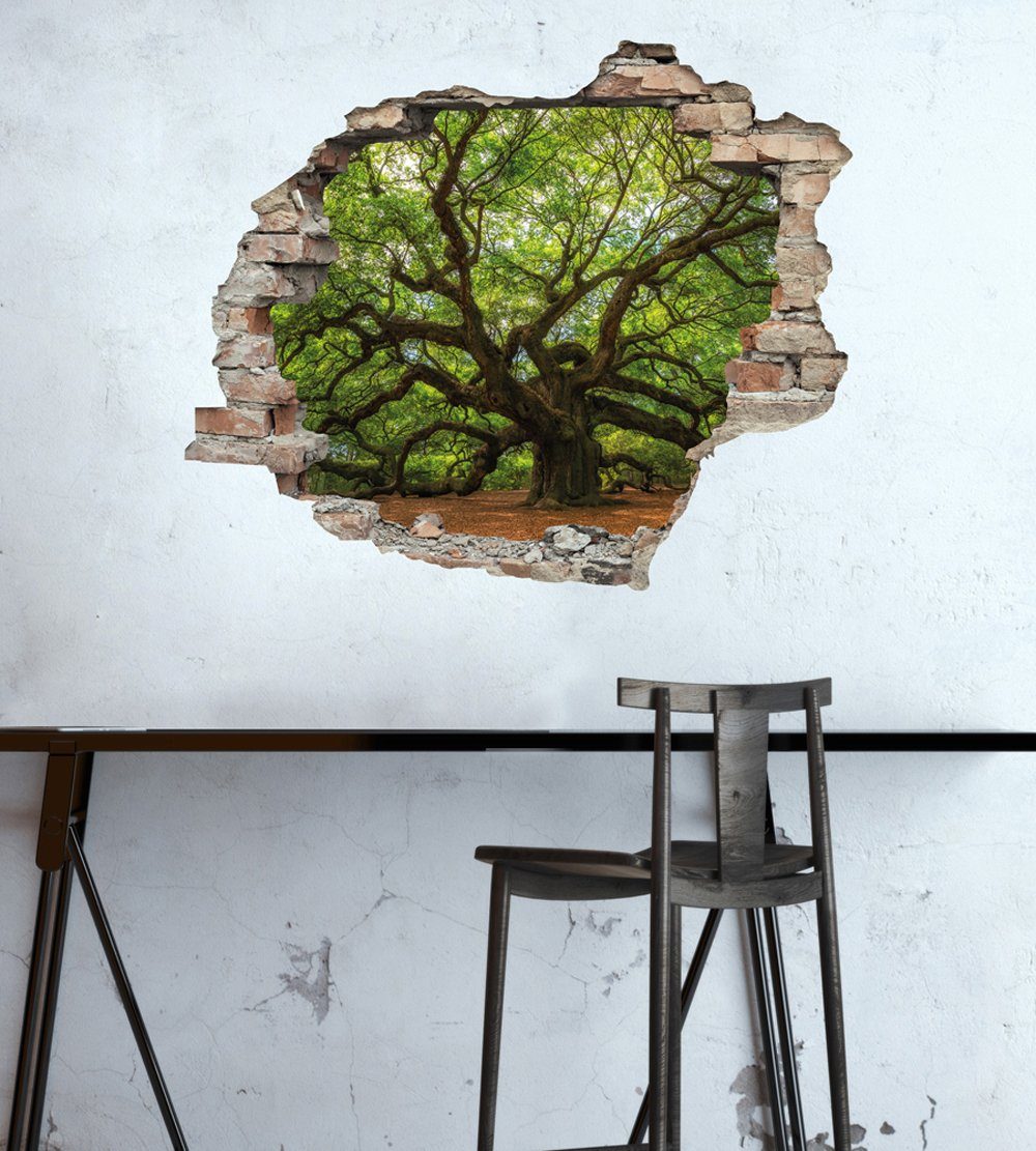 queence Wandtattoo Baum (1 St), Wandsticker, günstig online kaufen
