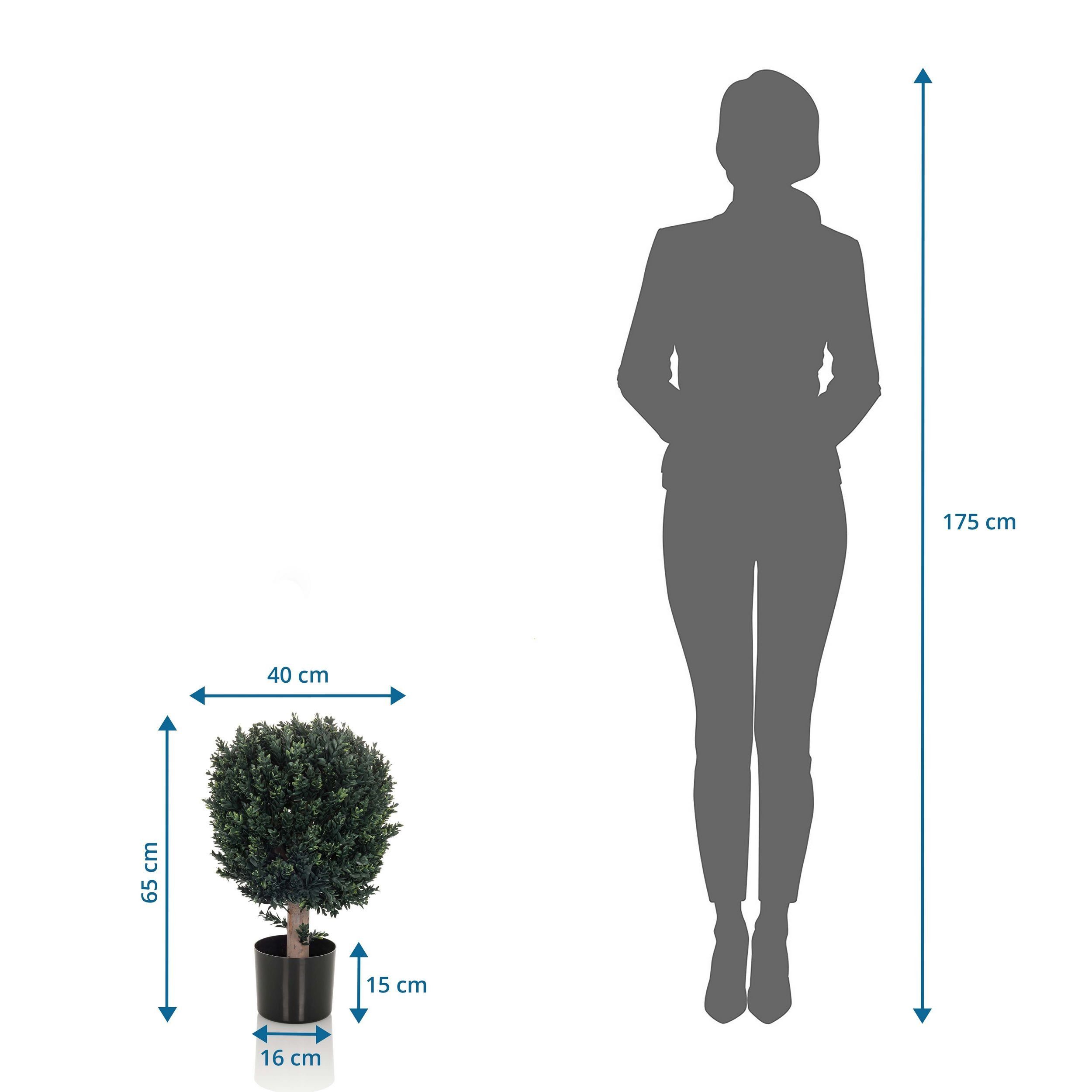 Pflanzen, für Höhe 65 / Buxus Kunstpflanze: und außen Buchsbaum bümö, Zimmerpflanze innen- Deko Künstliche cm,
