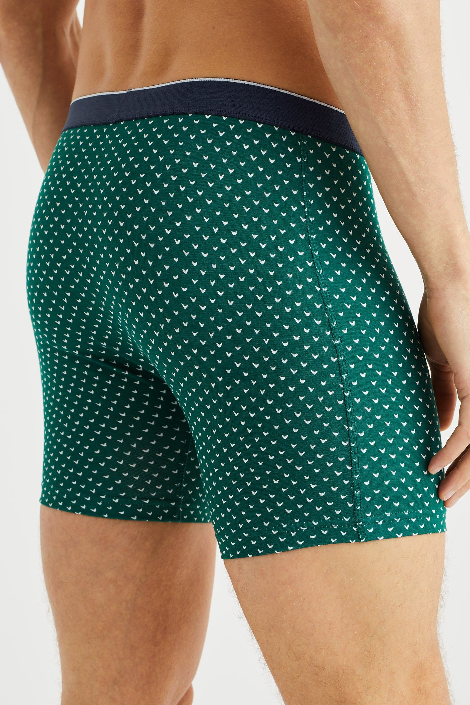 WE Fashion (1-St) Boxershorts Grün