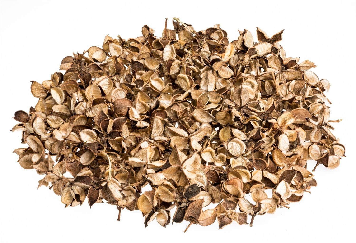 NaDeco Bastelnaturmaterial Cotton Pods Natur, verpackt im Beutel mit 250g Baumwoll Knospen