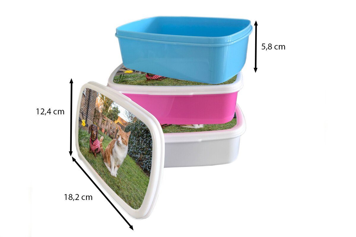 Erwachsene, für und - Garten, und Lunchbox Mädchen Hund weiß Jungs Brotdose, für Kinder MuchoWow - Katze (2-tlg), Kunststoff, Brotbox