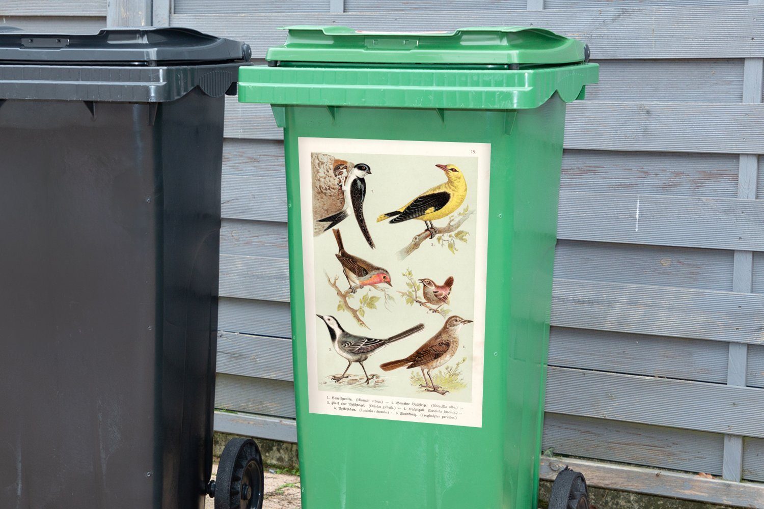 MuchoWow Wandsticker Vogel Abfalbehälter - Mülltonne, Zeichnung Mülleimer-aufkleber, (1 Vintage Container, St), Sticker, 