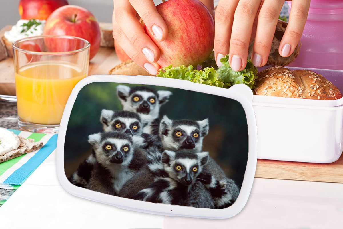 Jungs Ringelschwanzlemuren, (2-tlg), Affen MuchoWow Brotbox Mädchen Lunchbox für Kunststoff, für Brotdose, Kinder - Tiere - weiß Erwachsene, und und