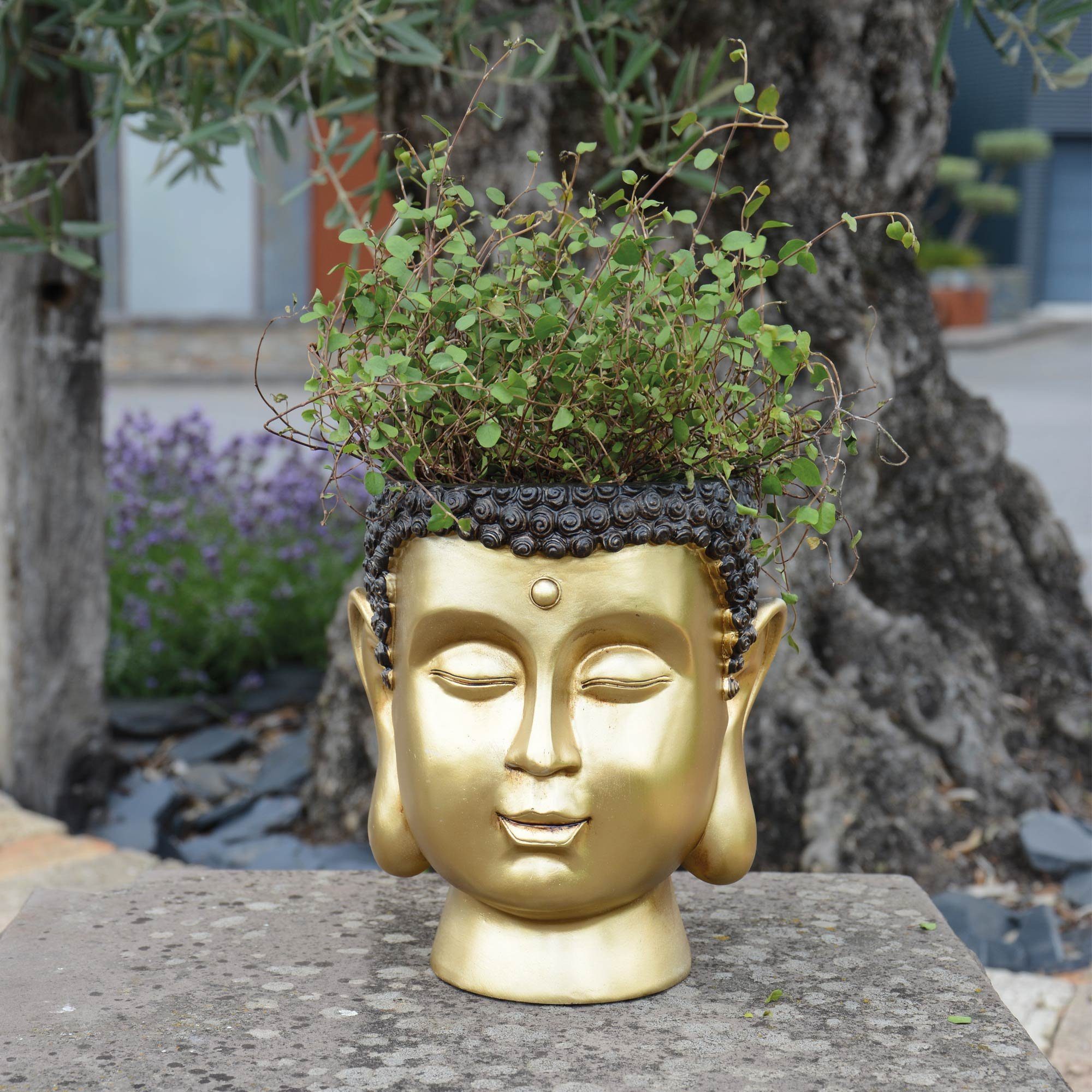 Pflanztopf GARDEN (1 St) UNUS Buddha Blumentopf