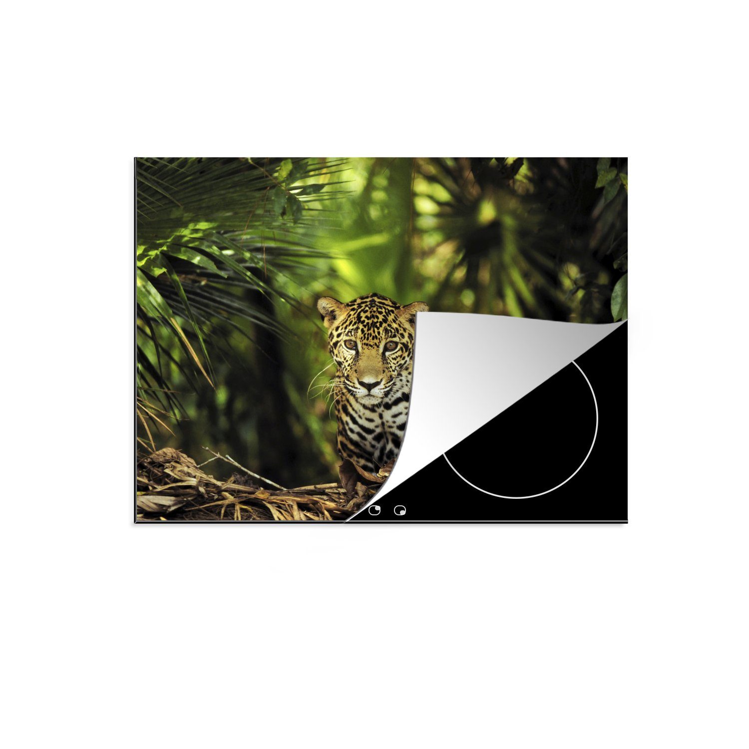 MuchoWow Herdblende-/Abdeckplatte Junger (1 Arbeitsfläche 70x52 Mobile Vinyl, Jaguar tlg), im Dschungel, Ceranfeldabdeckung nutzbar, cm