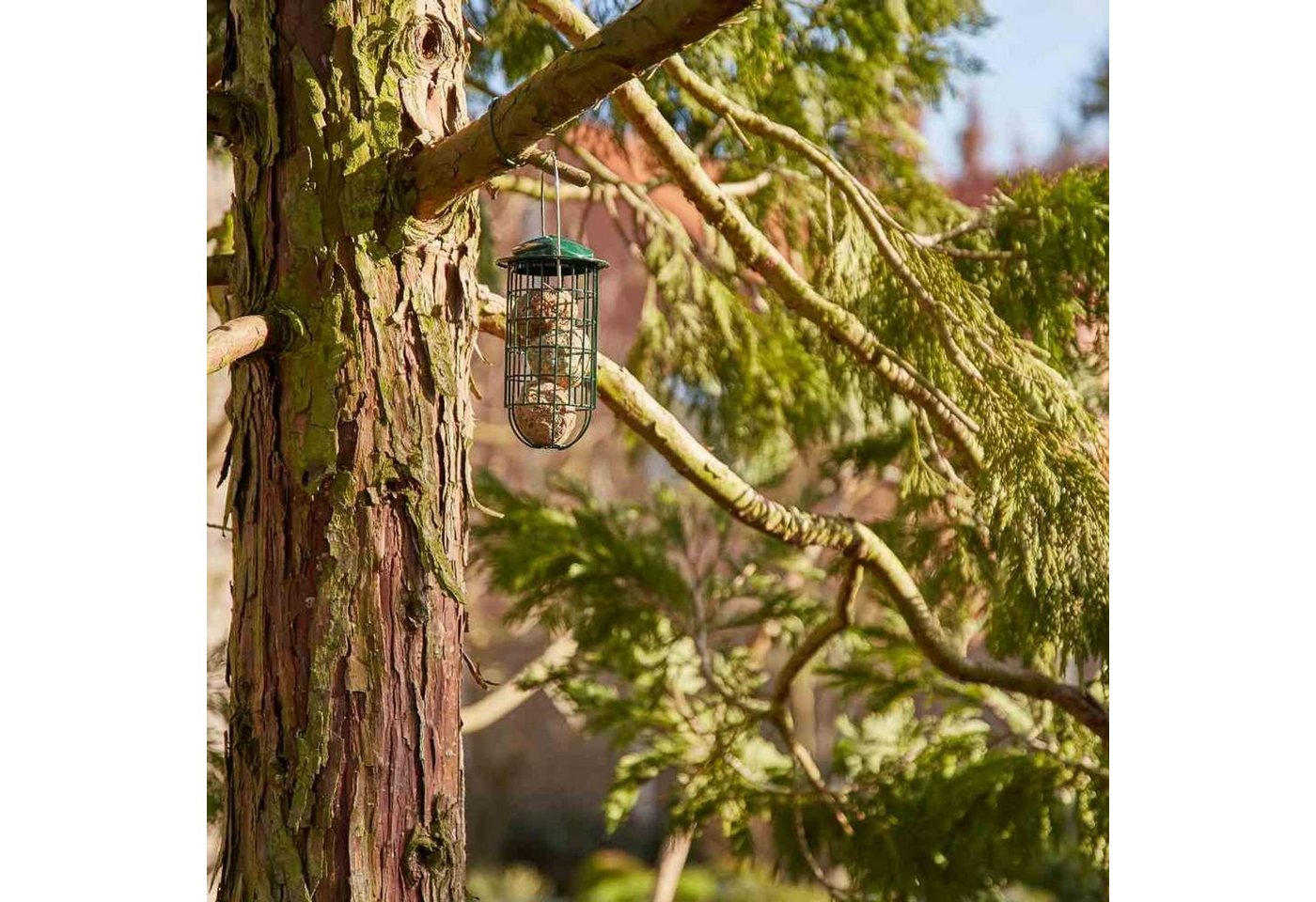 Thumbnail - Siena Garden Vogelhaus Futterstation Metall für Meisenknödel, 20 cm