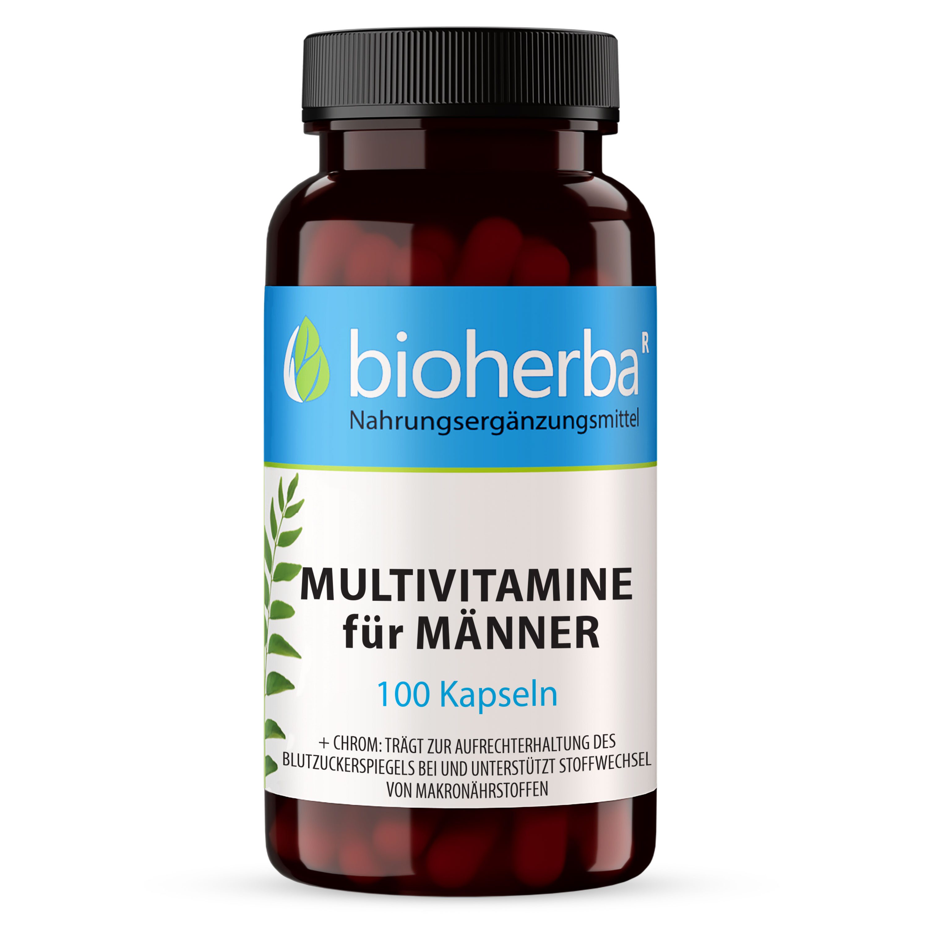 BIOHERBA R Bioherba Multivitamine für Männer 100 Kapseln Nahrungsergänzungsmittel, 1 er
