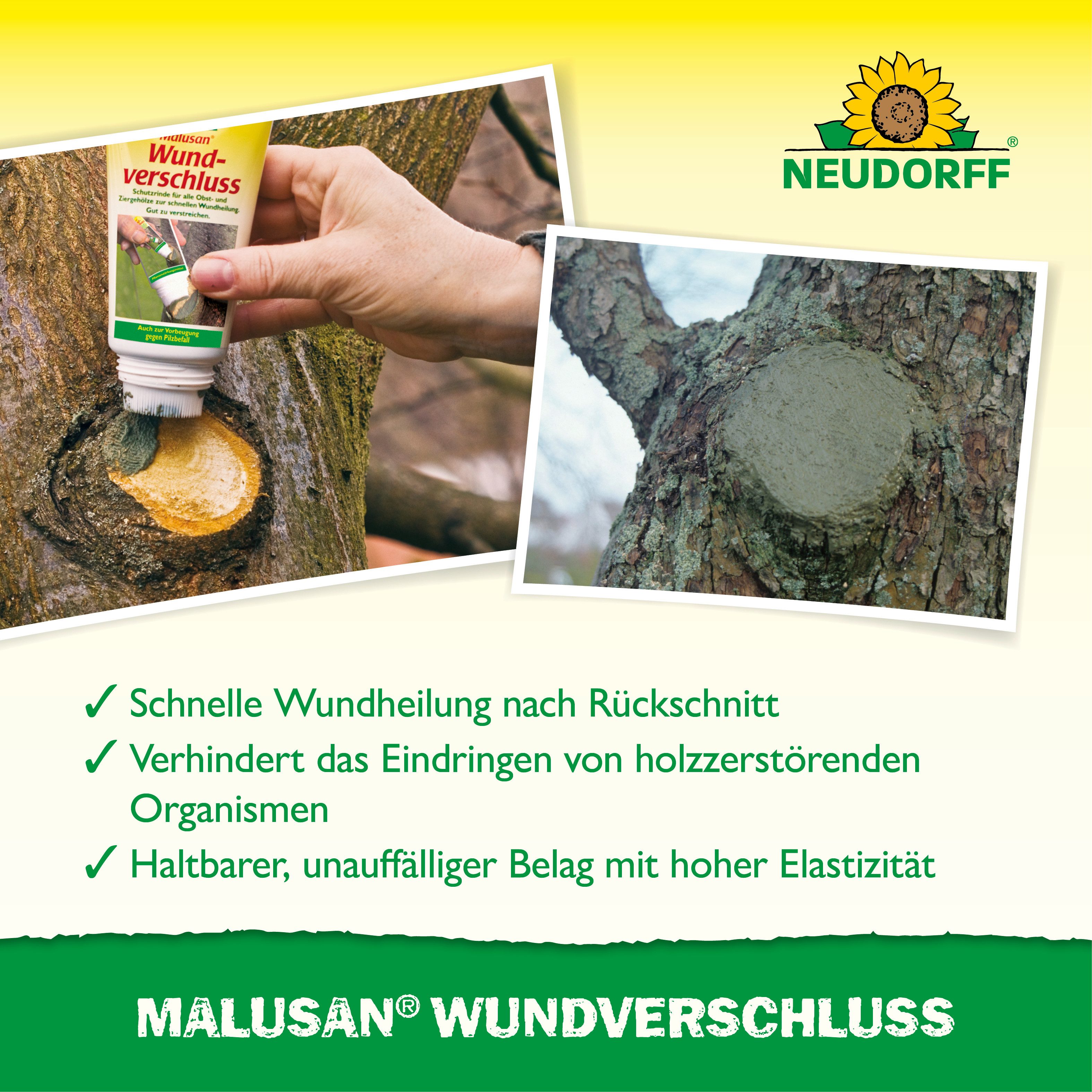 Neudorff Baum-Wundverschluss Malusan Wundverschluss Pinseltube 275 ml, 275 ml, 1 St., Fördert die Wundheilung bei Schnitt- und Rindenwunden, 275 ml Wundverschlu – Bild 4 von 5