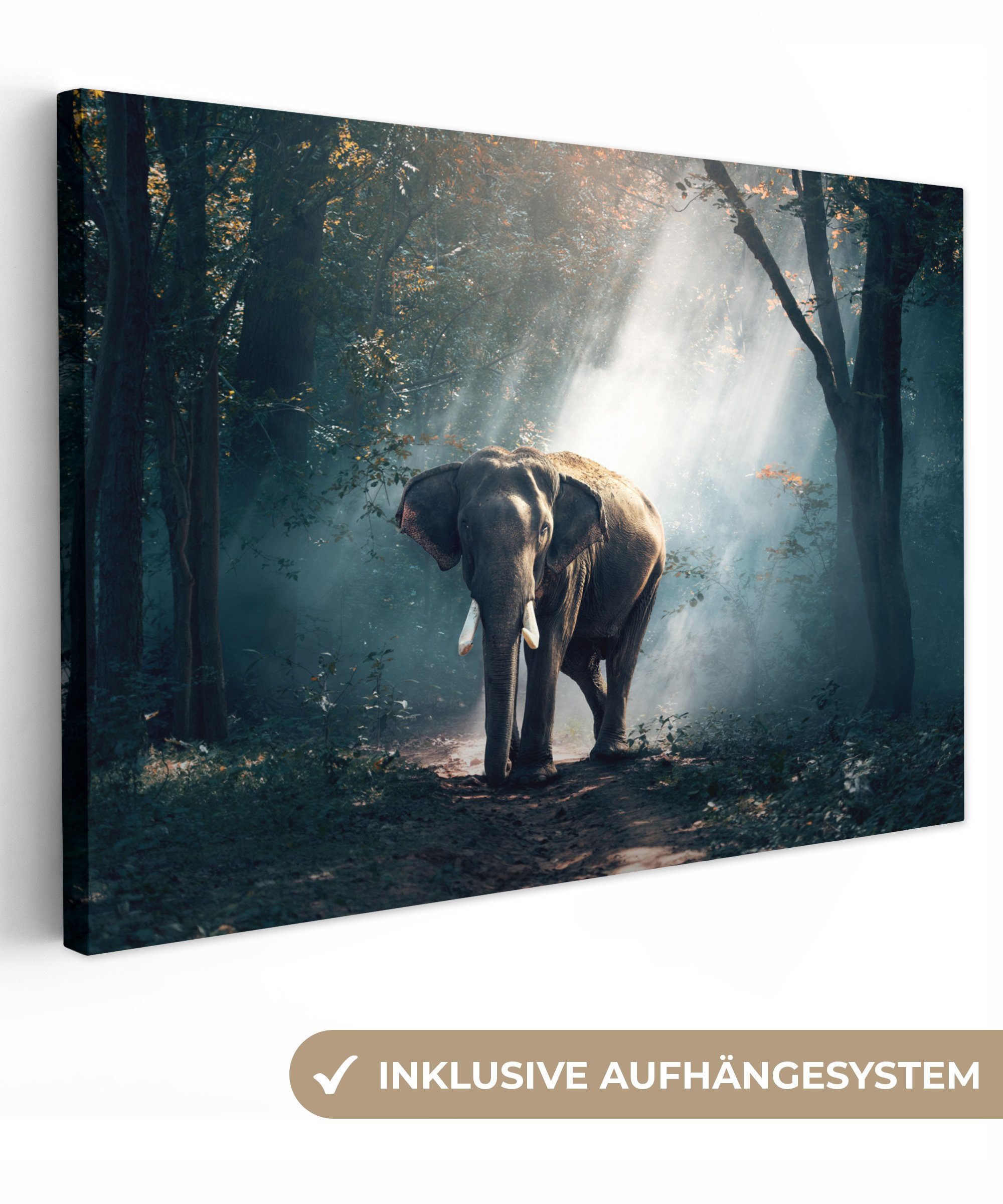OneMillionCanvasses® Leinwandbild Elefant - Tiere - günstig online kaufen