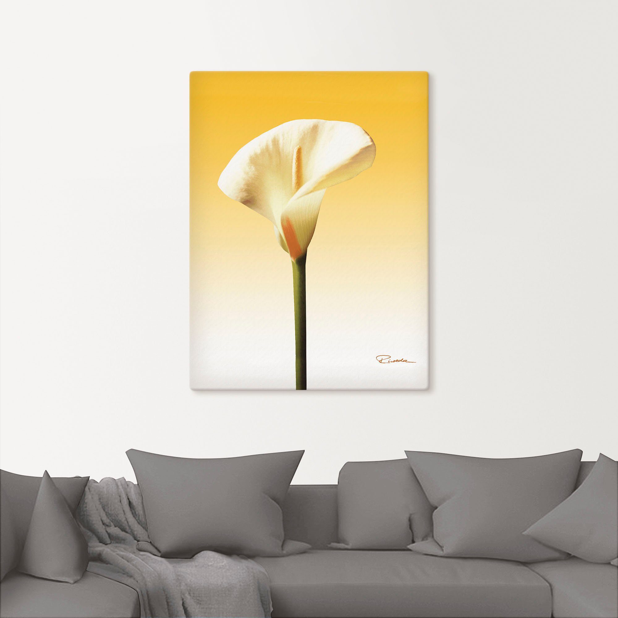 Artland Leinwandbild Sonnenschein Calla II, Blumenbilder (1 St), auf Holzrahmen gespannt