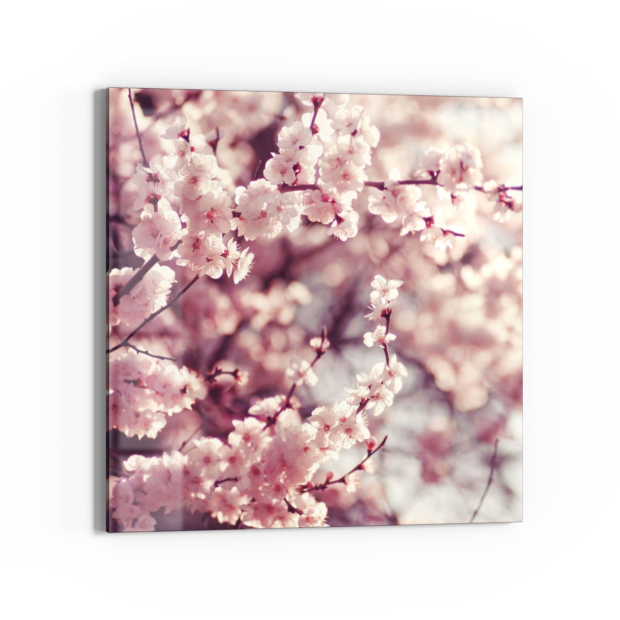 DEQORI Glasbild 'Kirschblütenzweige', 'Kirschblütenzweige', Glas Wandbild Bild schwebend modern